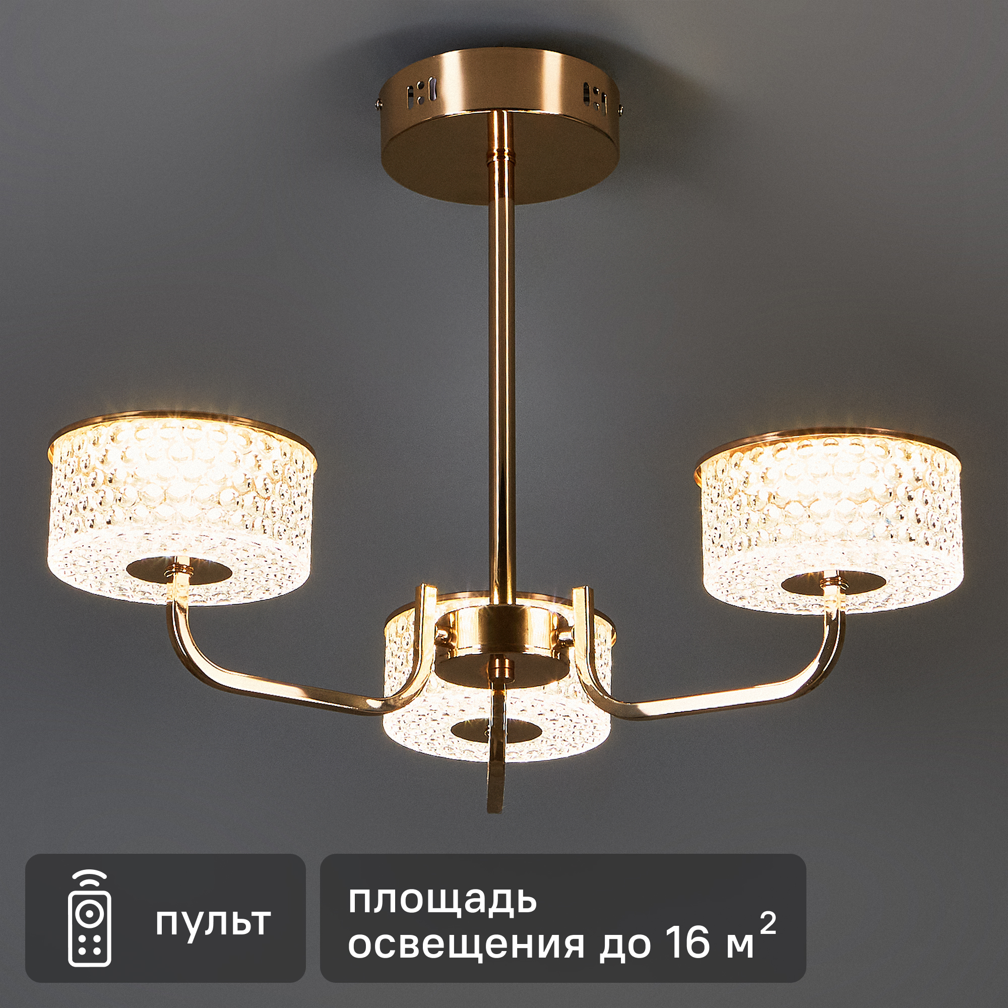 Изображение товара Люстра потолочная светодиодная Lumion Ledio Venice 6579/40CL с 3 плафонами нейтральный белый свет