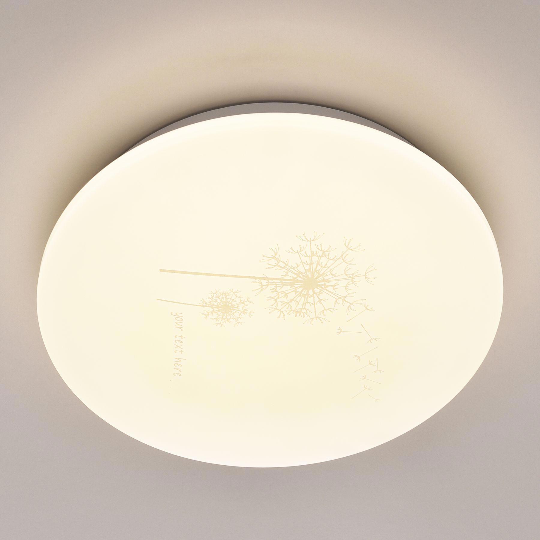 Изображение товара Светильник APL LED Big Dandelion 3316.LED-350/24W
