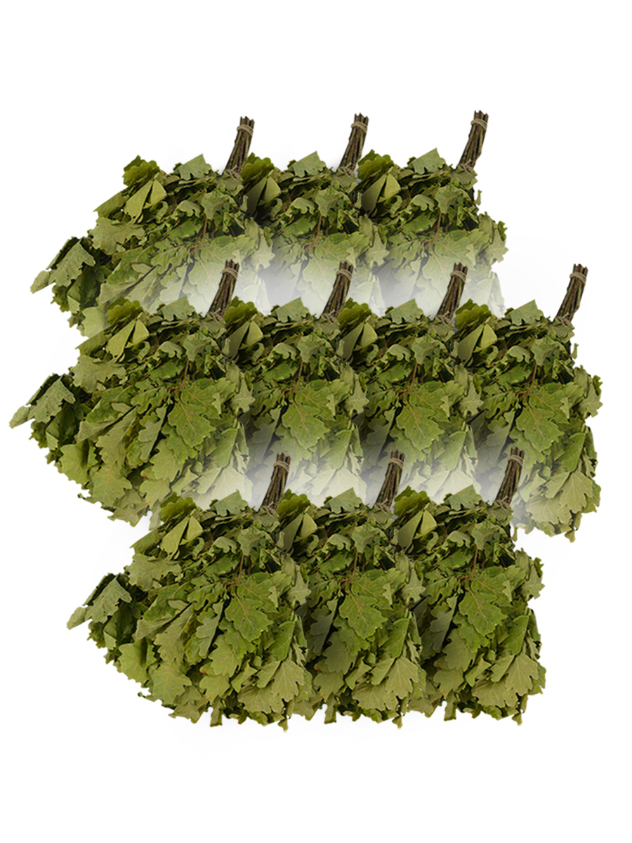 Изображение товара Набор Веник для бани и сауны Бацькина баня дубовый 10 шт 20510-10-набор-ЛМ