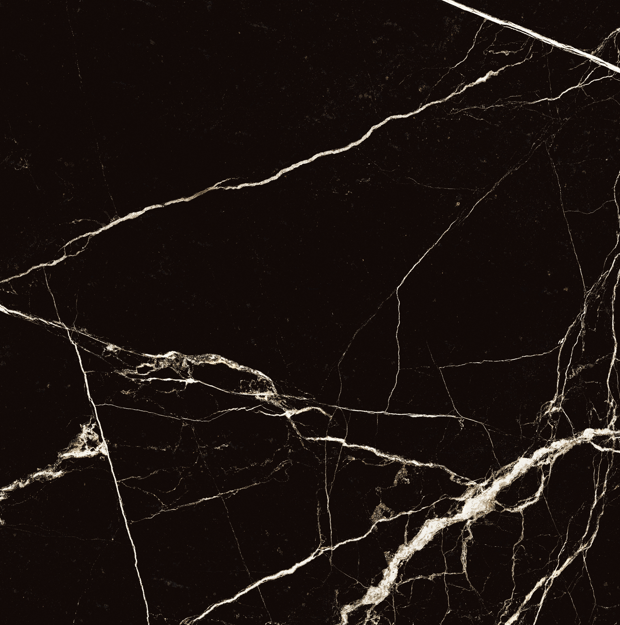 Изображение товара Глазурованный керамогранит Arcadia Ceramica Black Spinder High Gloss 60x60 см