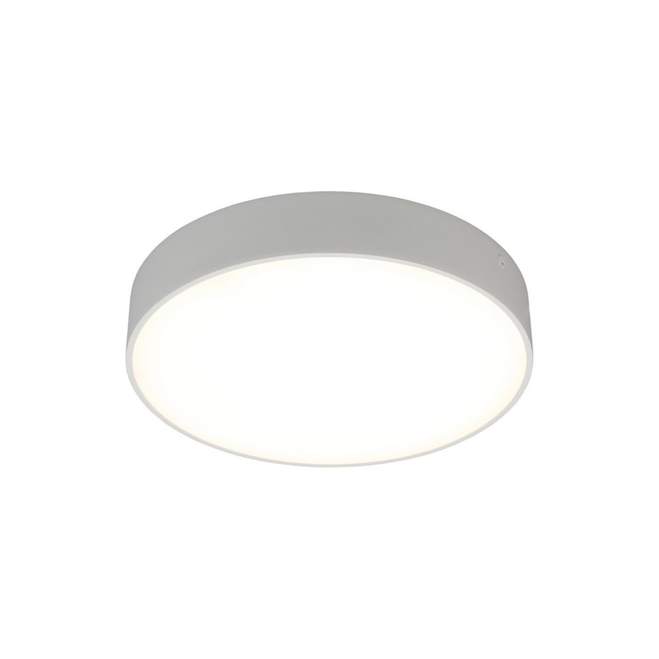 Изображение товара Настенно-потолочный светильник Aployt 2 м² белый нейтральный свет диаметр 20 см