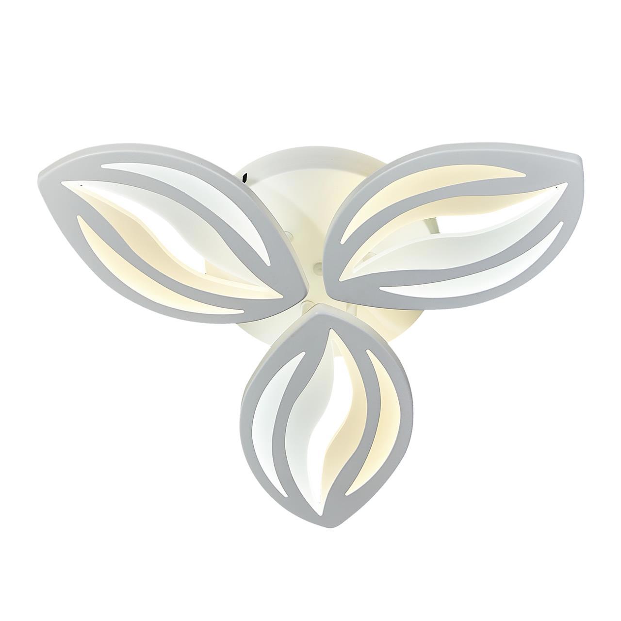 Изображение товара Светильник настенно-потолочный светодиодный ESCADA 10221-3LED 12 м² нейтральный белый свет цвет белый