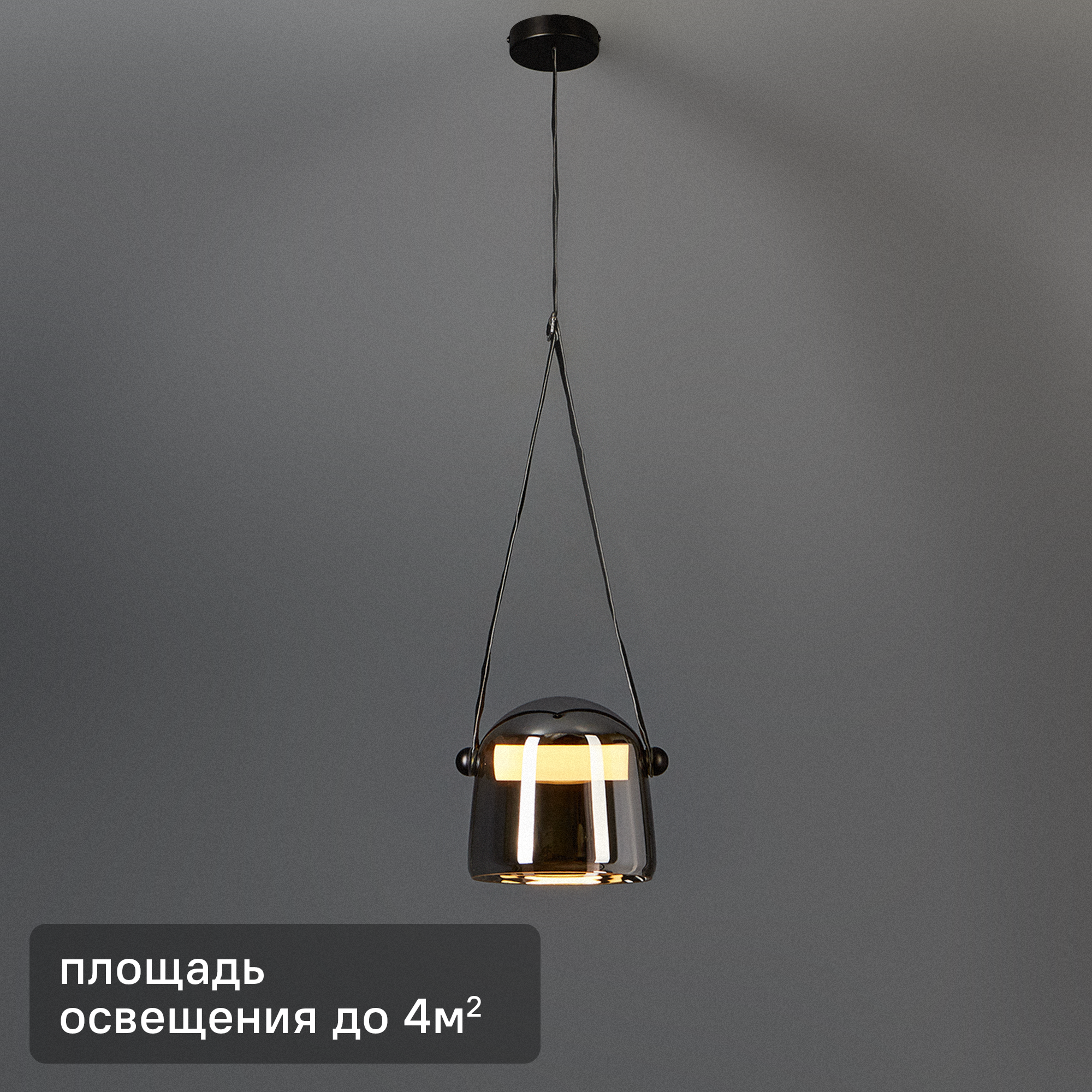 Изображение товара Светильник подвесной светодиодный Aurum FR5471PL-L12B 4 м² цвет серебристо-черный