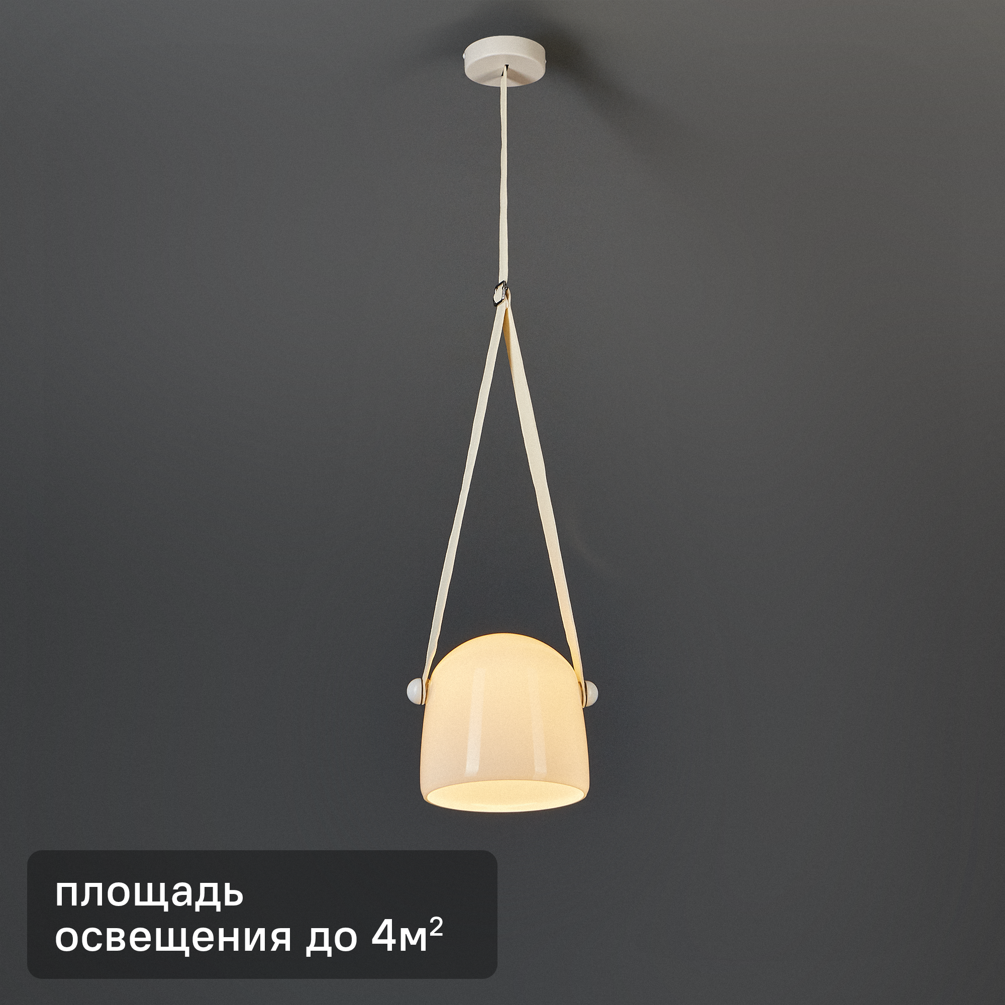 Изображение товара Светильник подвесной светодиодный Freya FR5471PL-L12W 4 м² цвет белый