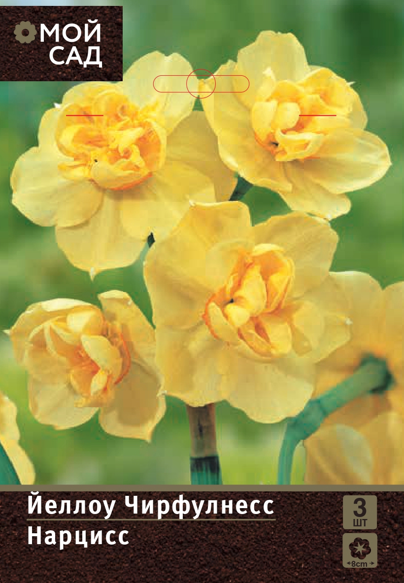 Нарцисс махровый Йеллоу Чирфулнесс луковицы 10/12 2 шт ️ купить по цене ...