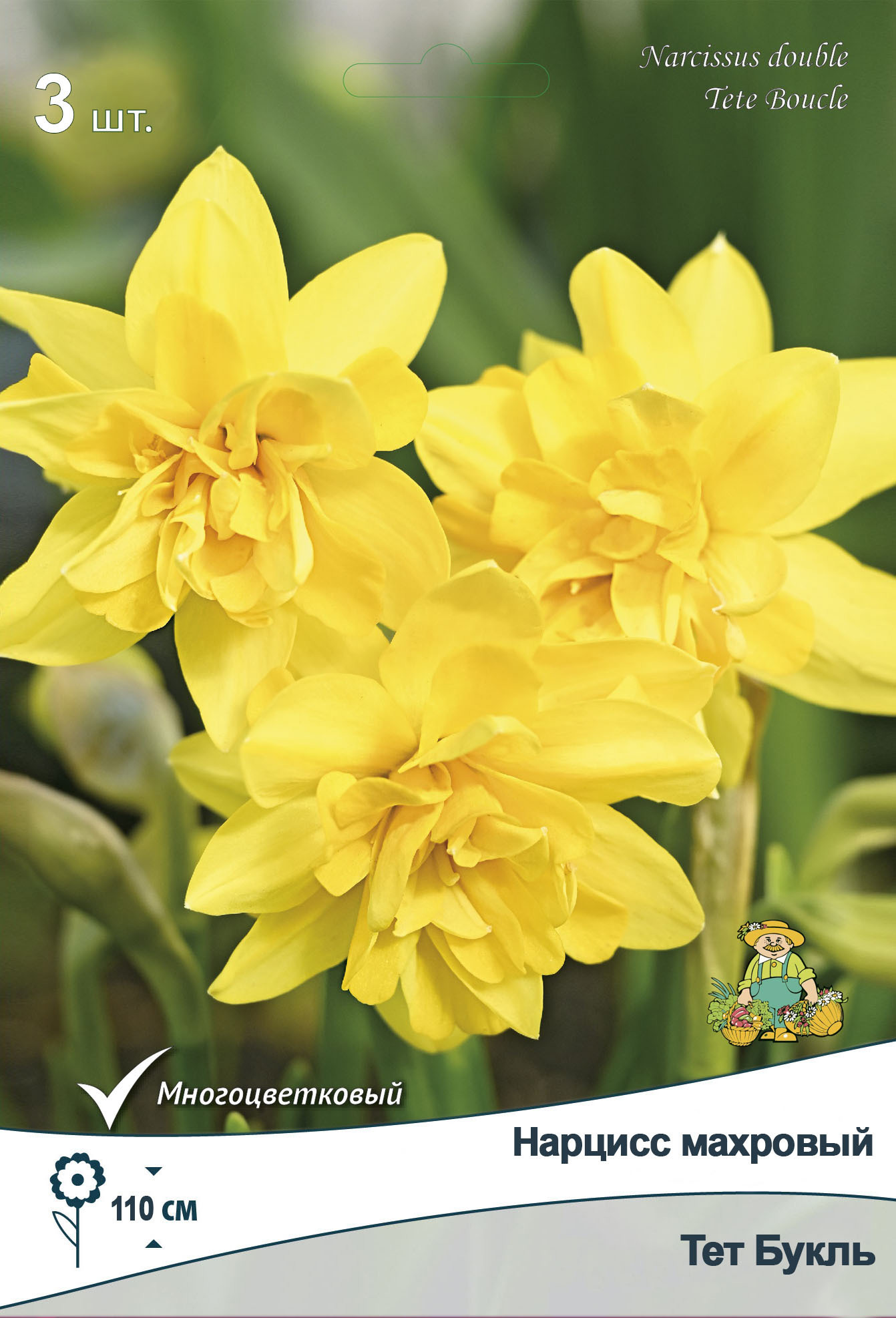 Изображение товара Нарцисс махровый Тет Букль 3 шт.