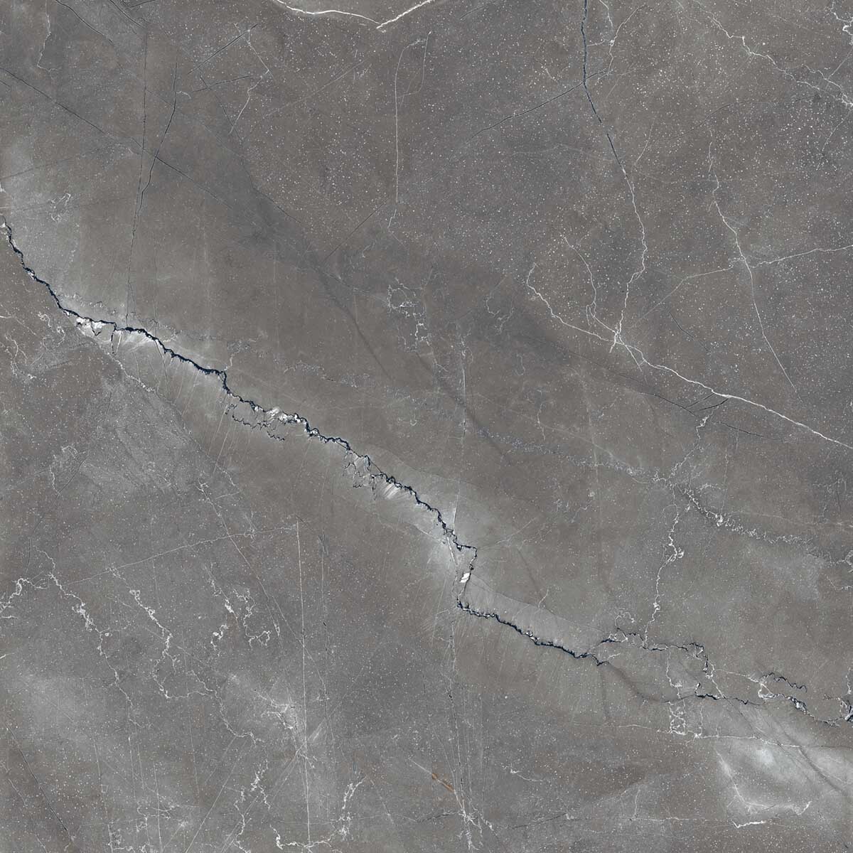 Изображение товара Глазурованный керамогранит Arcadia Ceramica Pulpis Nero Glossy 60x60 см