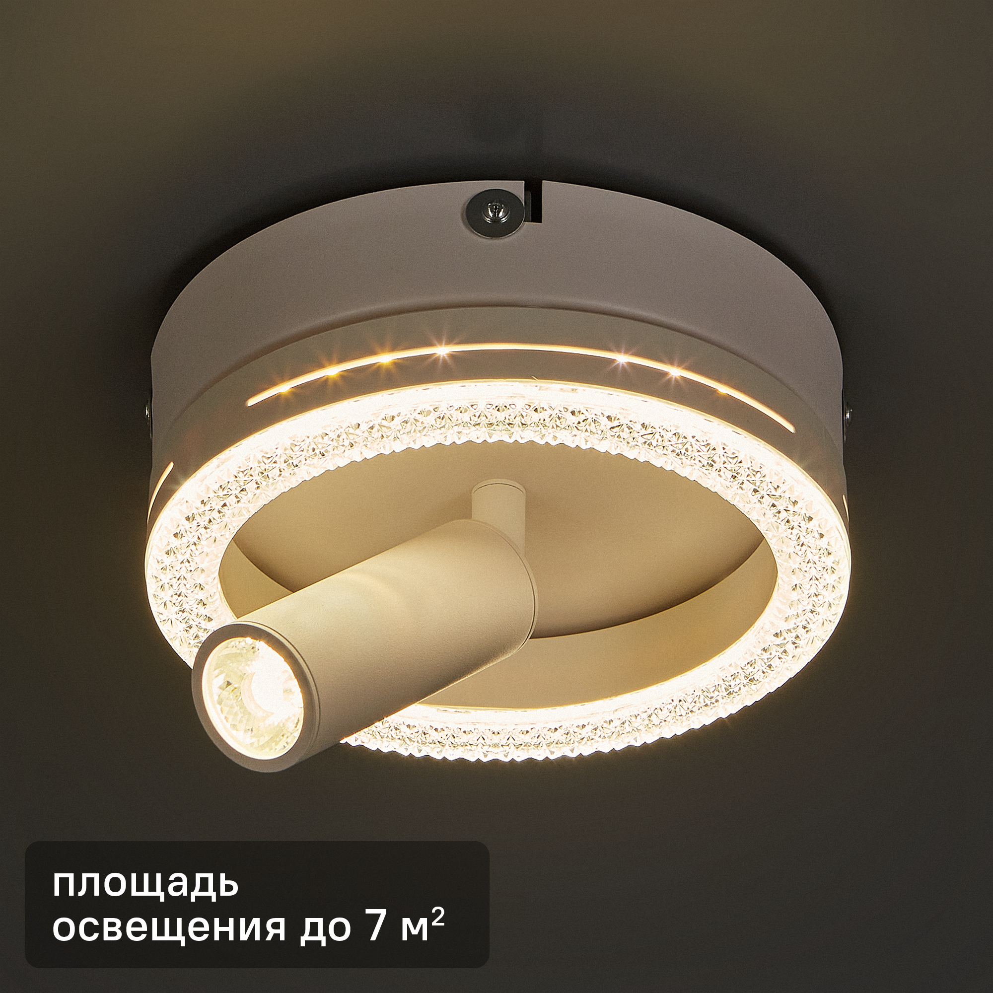 Изображение товара Светильник потолочный белый 20044SMA/01 для современного освещения