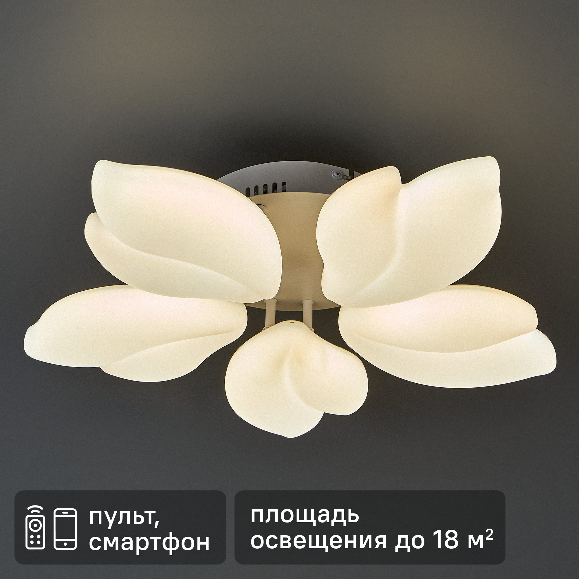 Изображение товара Светодиодная люстра EFFECT S 100W с пультом управления