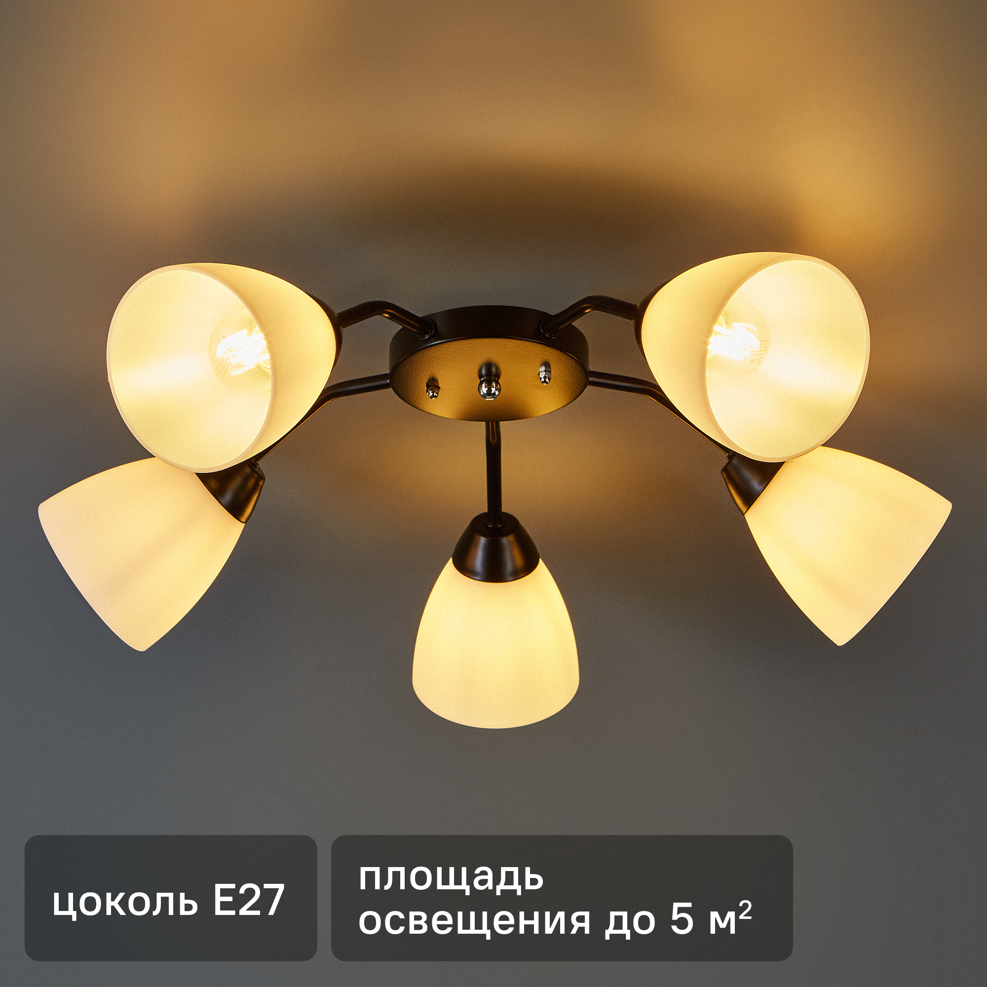 Изображение товара Люстра потолочная Эдем 5 ламп черно-белая для помещений до 5 м²