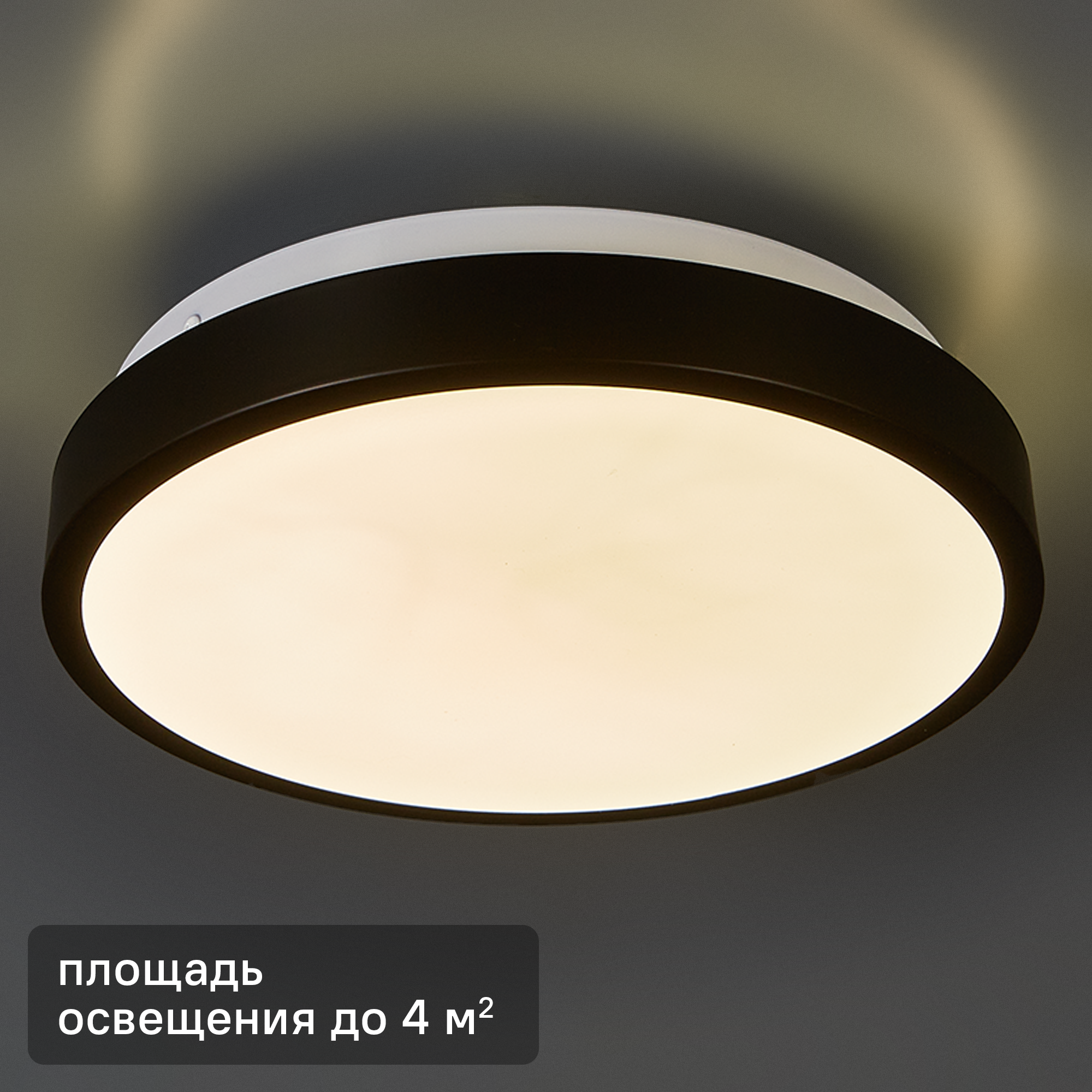 Изображение товара Светильник настенно-потолочный СОНЕКС Smalli 3012/AL Led 12 Вт белый