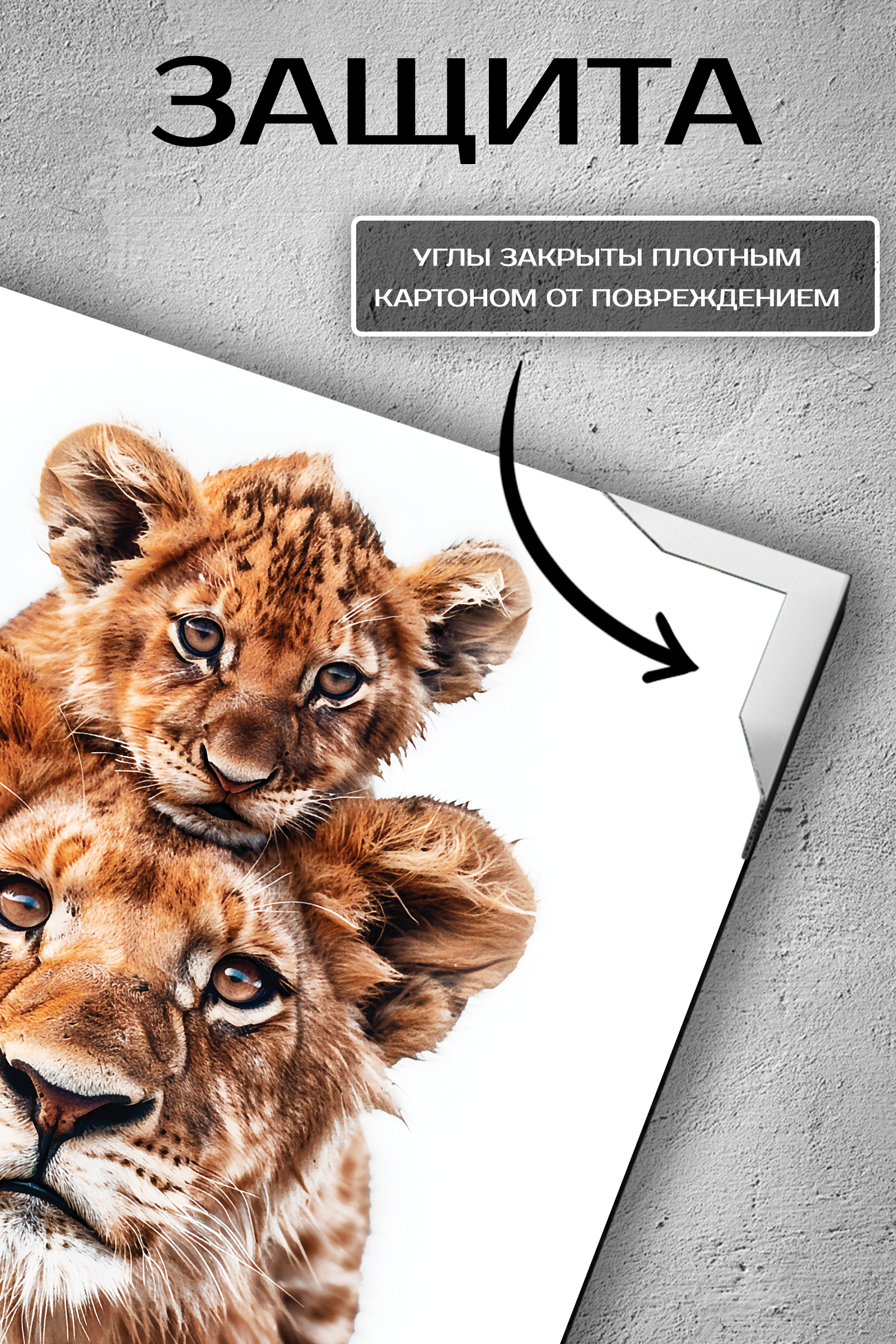Картина Fbrush Львиная семья 30x30 см - 2