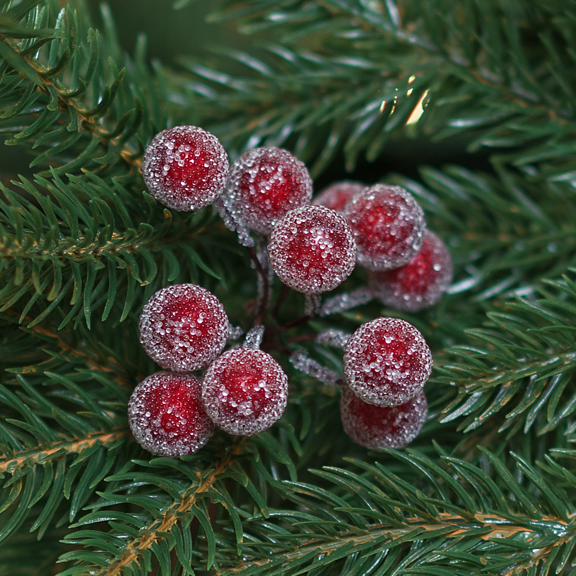 Изображение товара Новогоднее украшение Ветка Морозные яблоки 11x4 см красное для праздничного декора