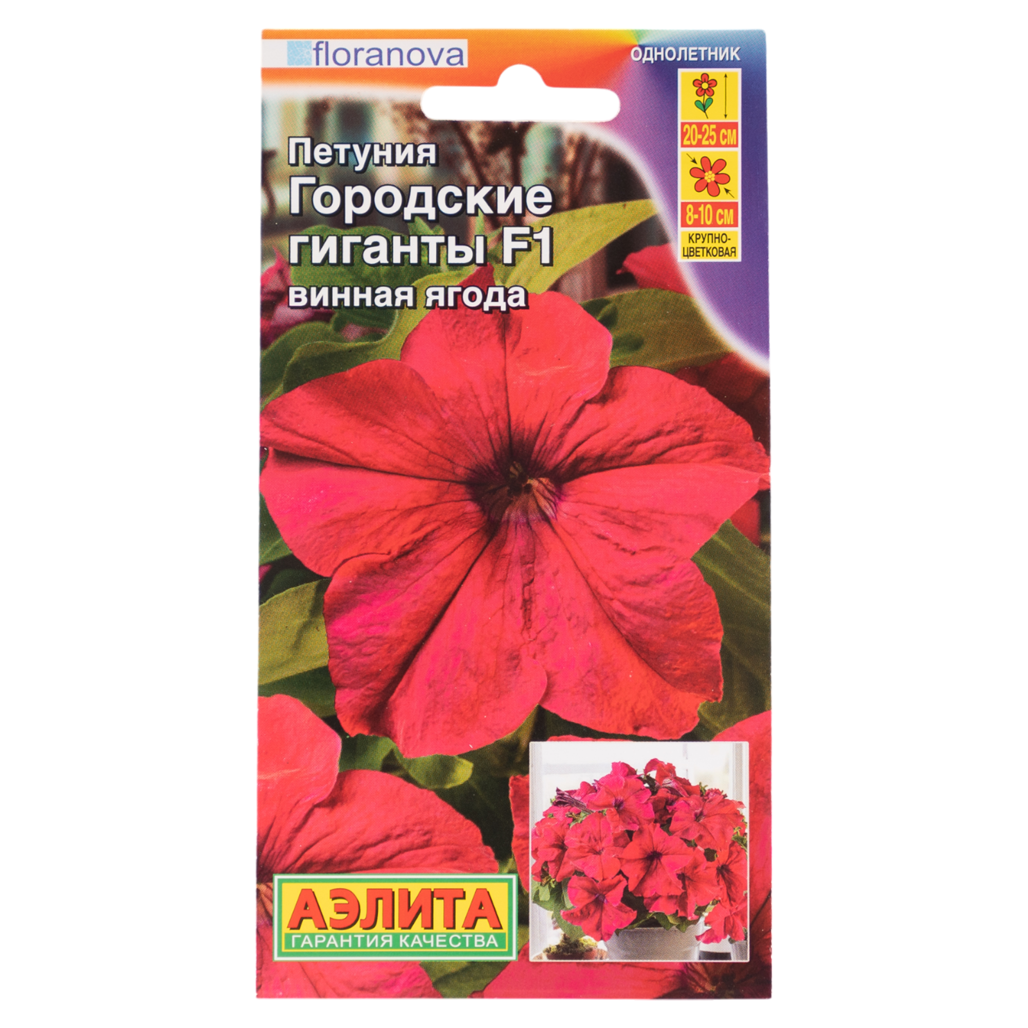 Изображение товара Семена цветов Аэлита петуния Городские гиганты Винная ягода