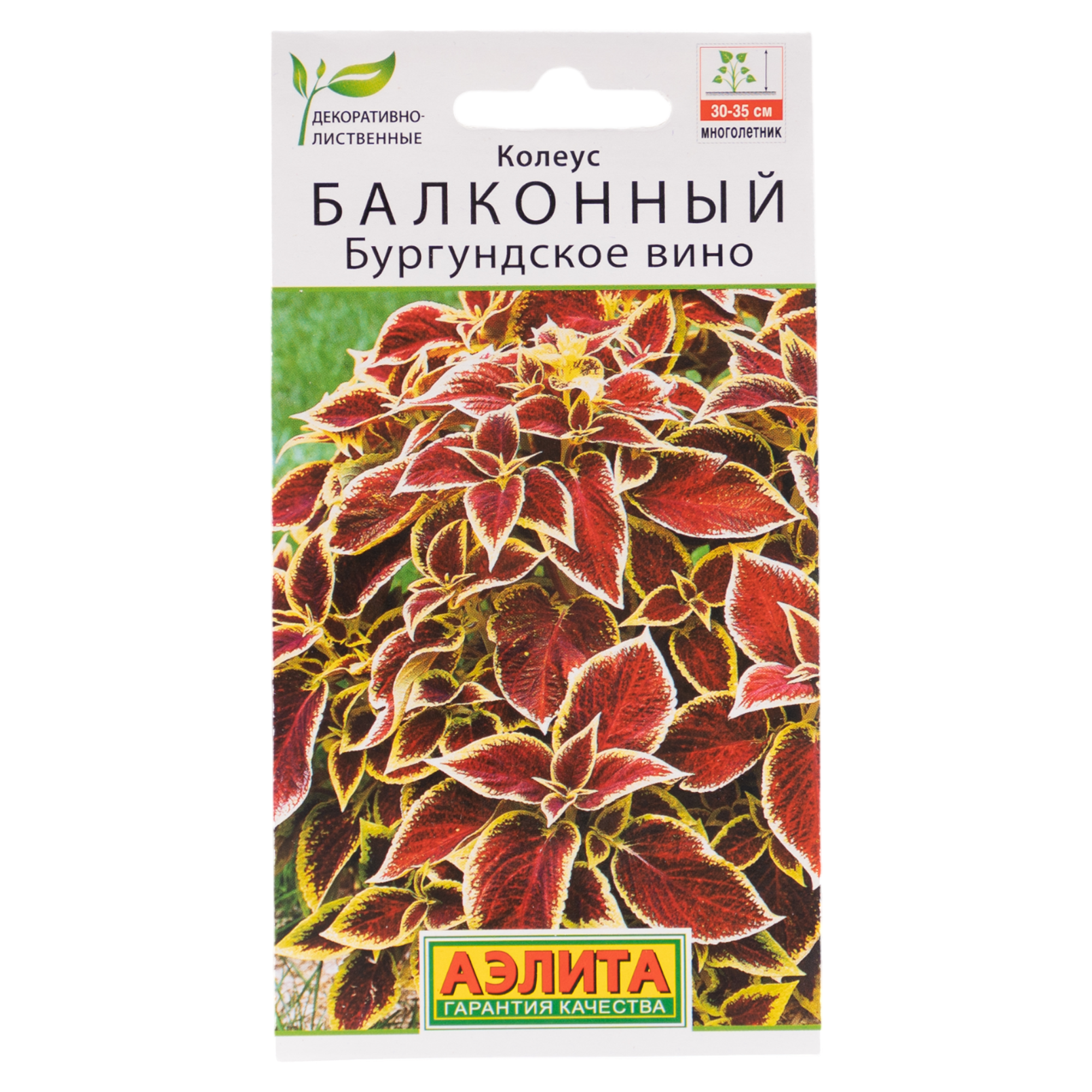 Изображение товара Семена цветов колеус балконный Бургундское вино Изображение товара Семена цветов колеус балконный Бургундское вино