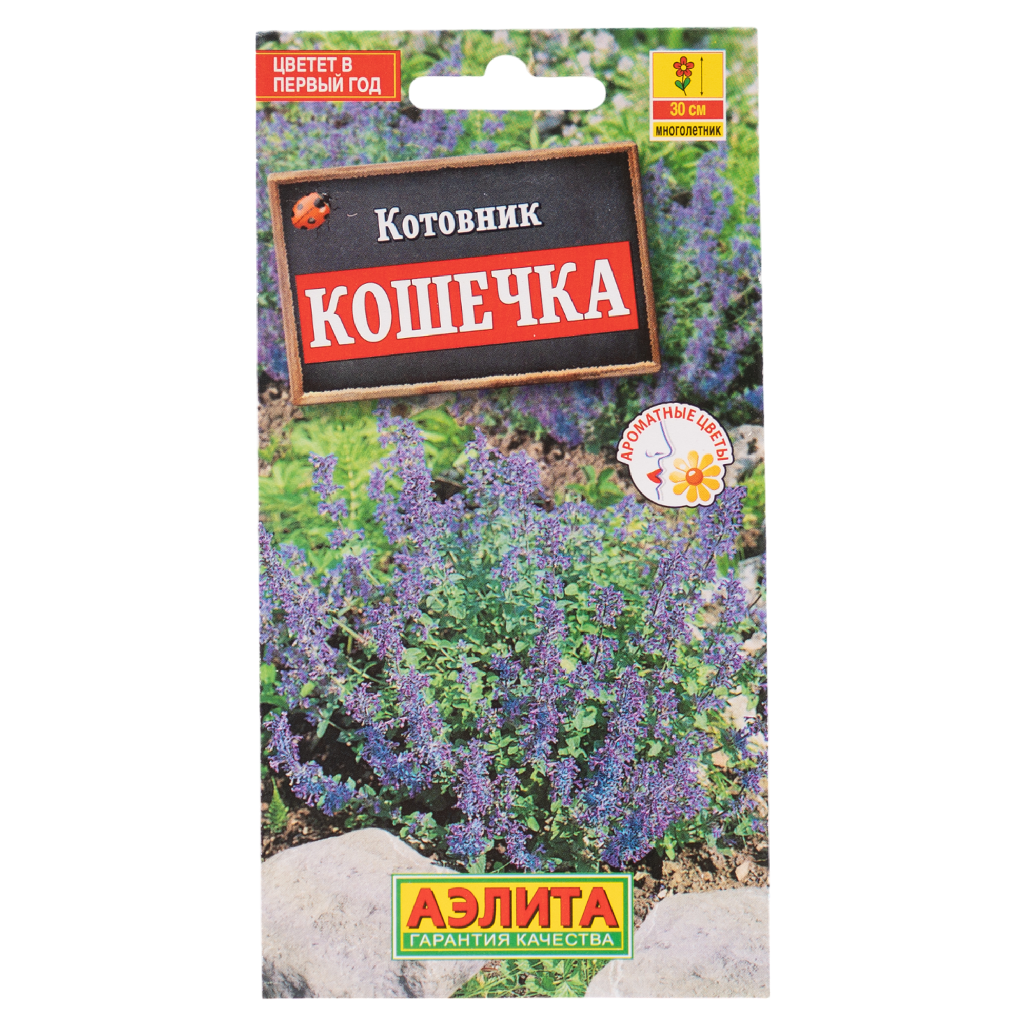 Изображение товара Семена цветов Аэлита котовник Кошечка