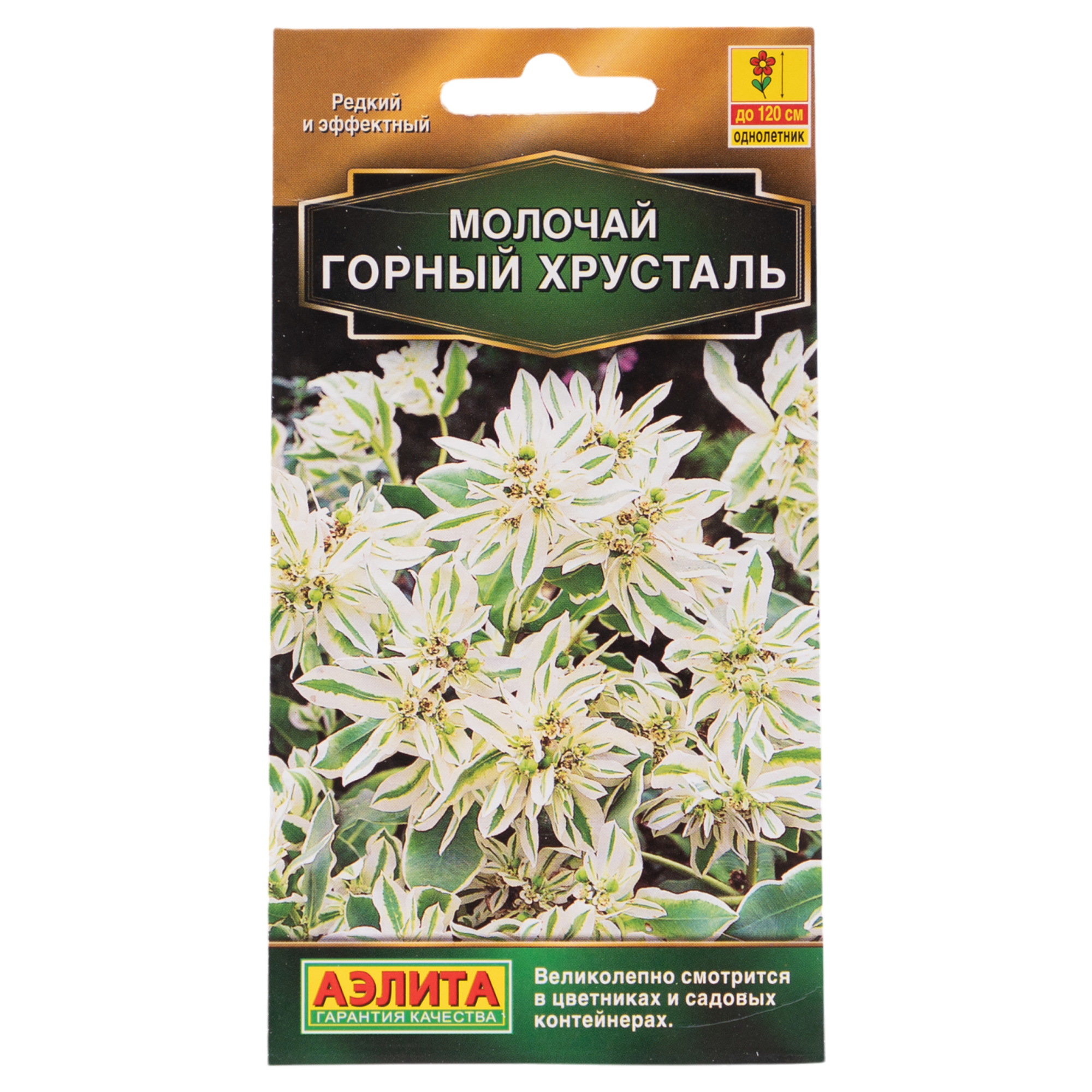 Изображение товара Семена цветов Аэлита молочай Горный хрусталь