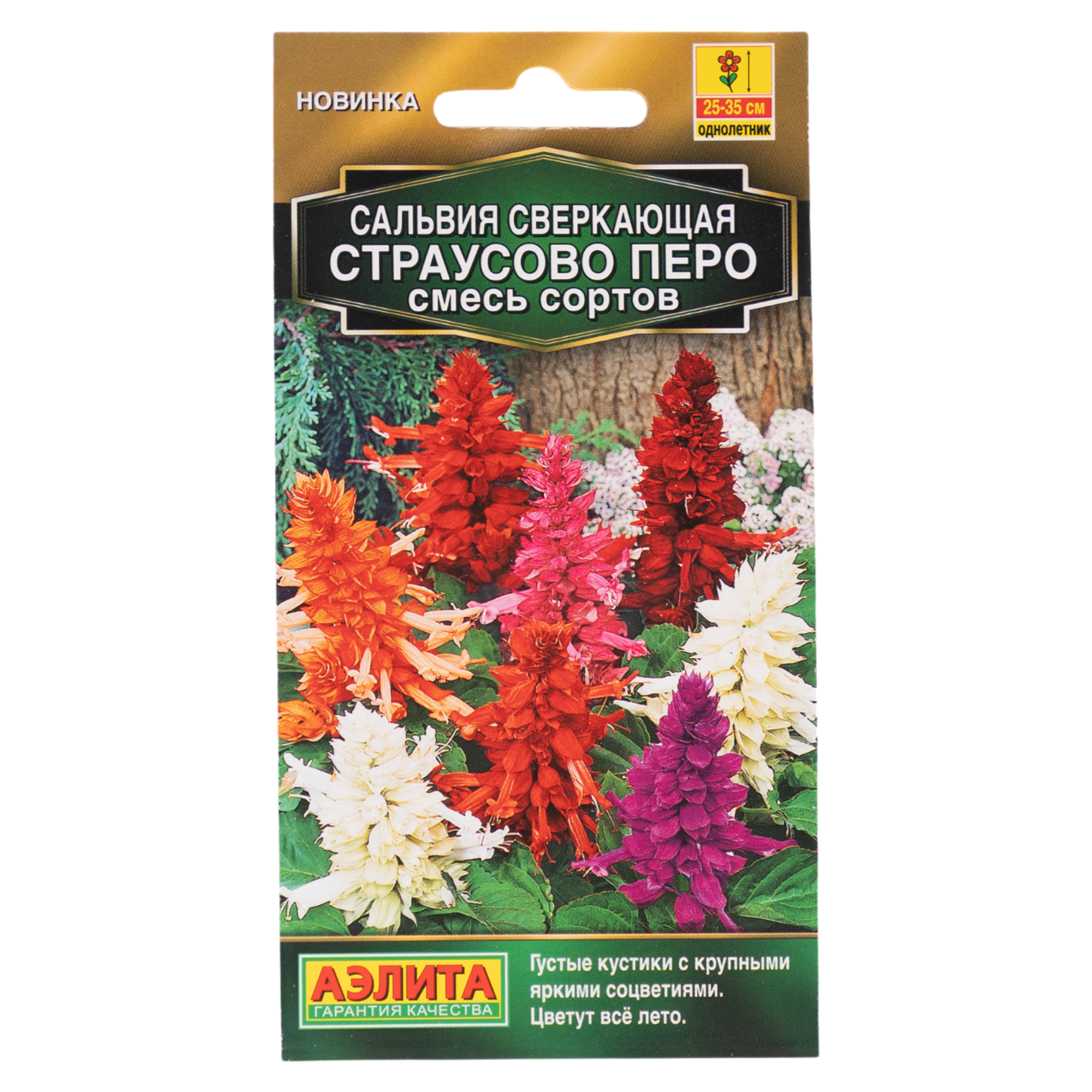 Изображение товара Семена цветов Аэлита сальвия сверкающая Страусово перо