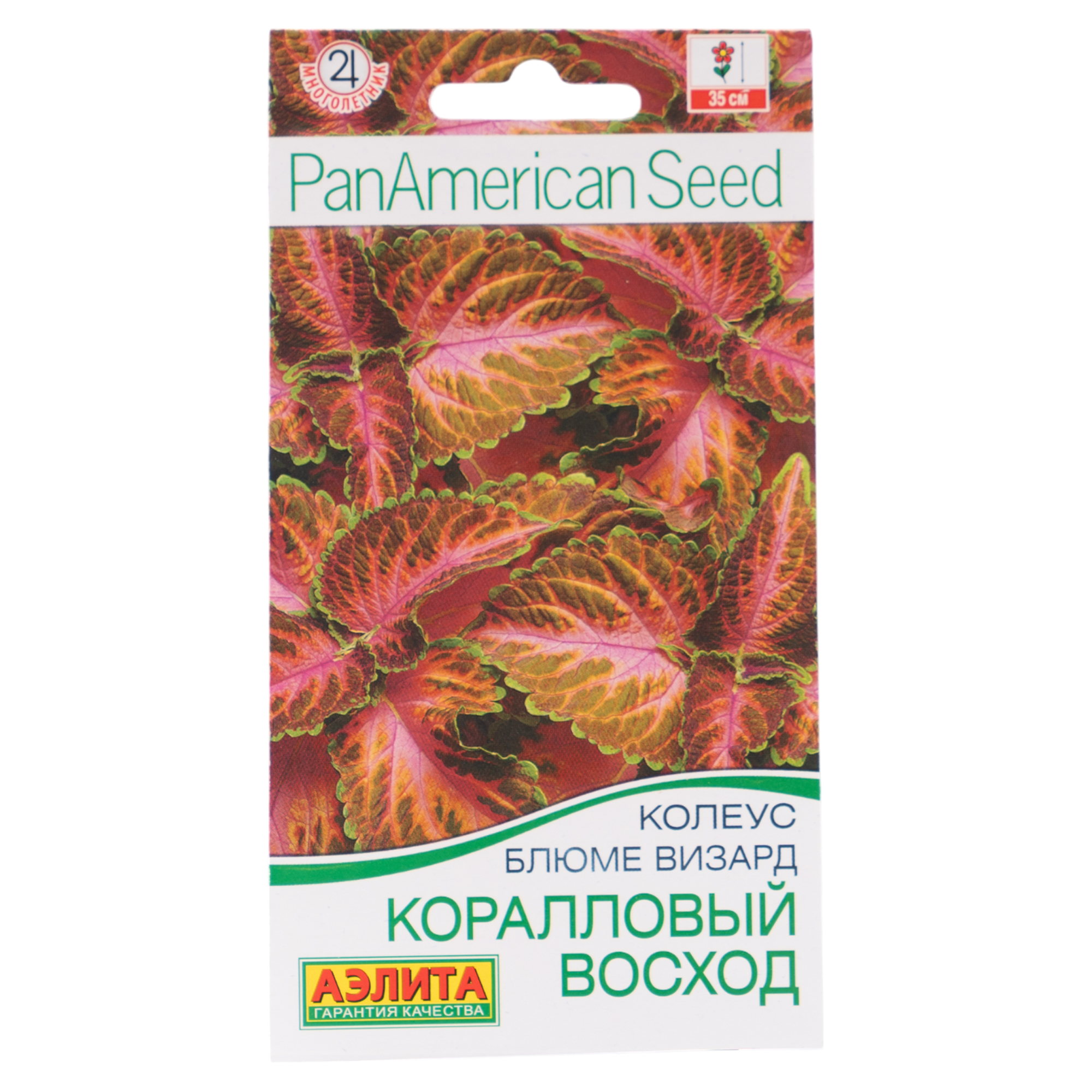Изображение товара Семена цветов Аэлита колеус блюме Коралловый восход 5 шт.