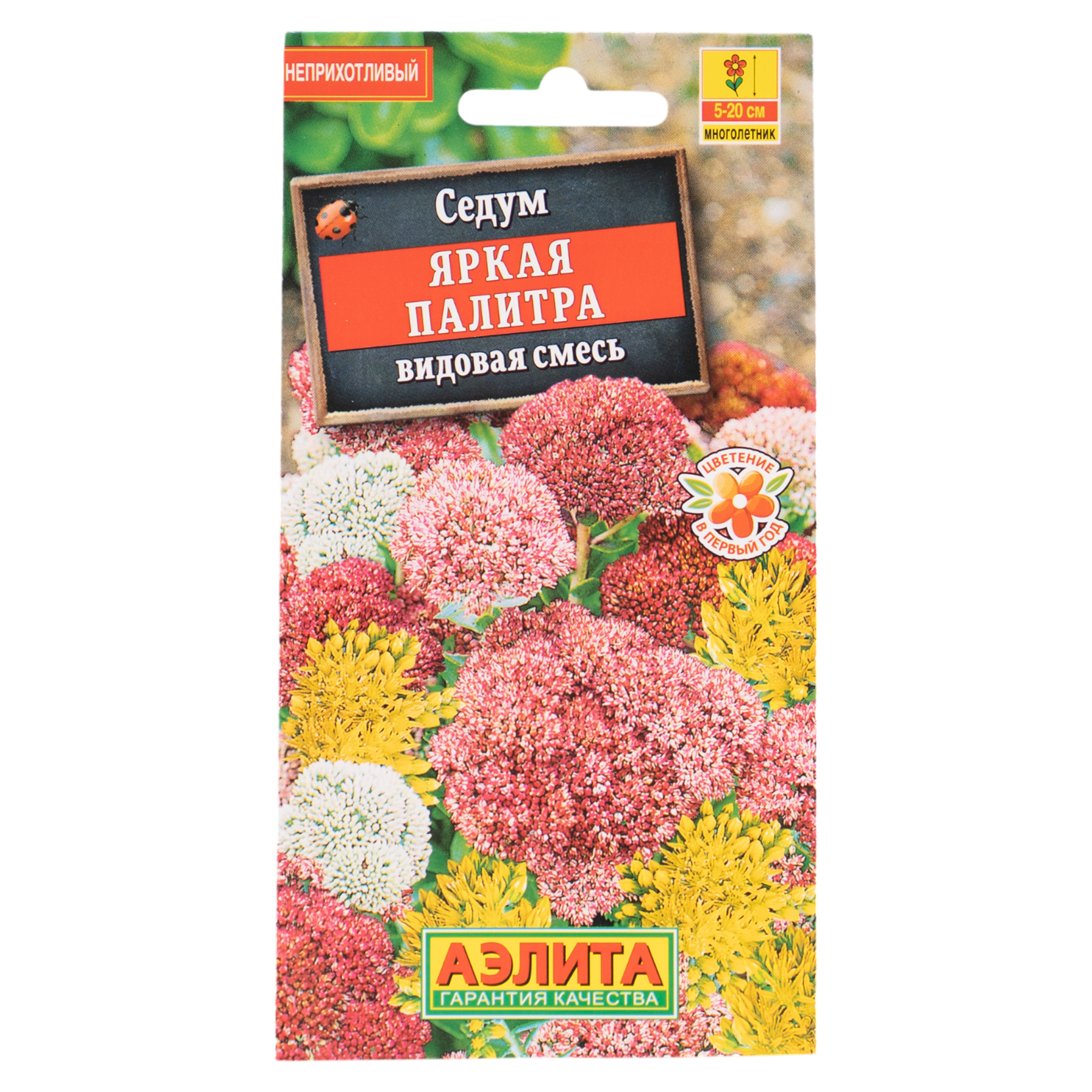 Изображение товара Семена цветов Аэлита седум Яркая палитра