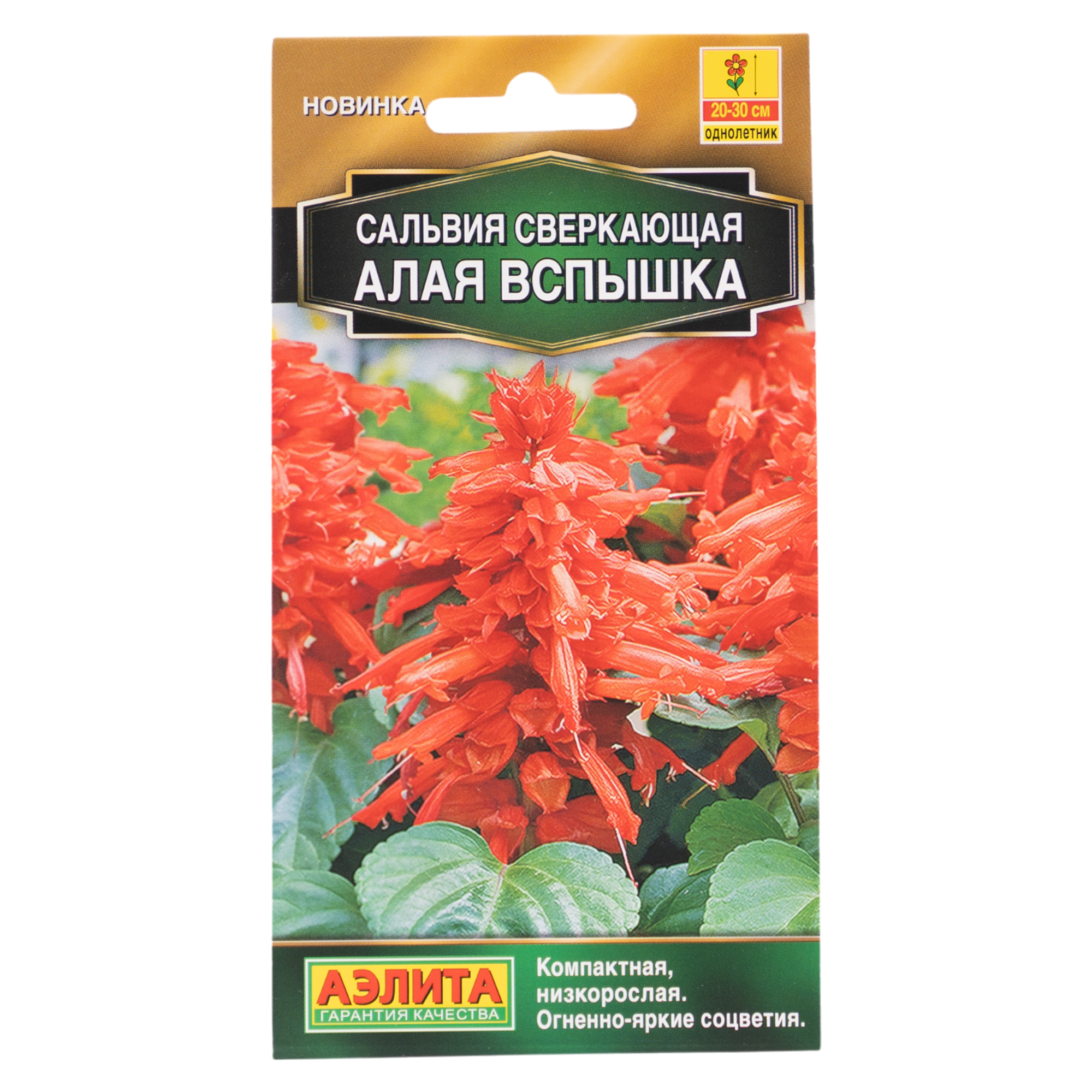 Изображение товара Семена цветов Аэлита сальвия сверкающая Алая вспышка 15 шт.