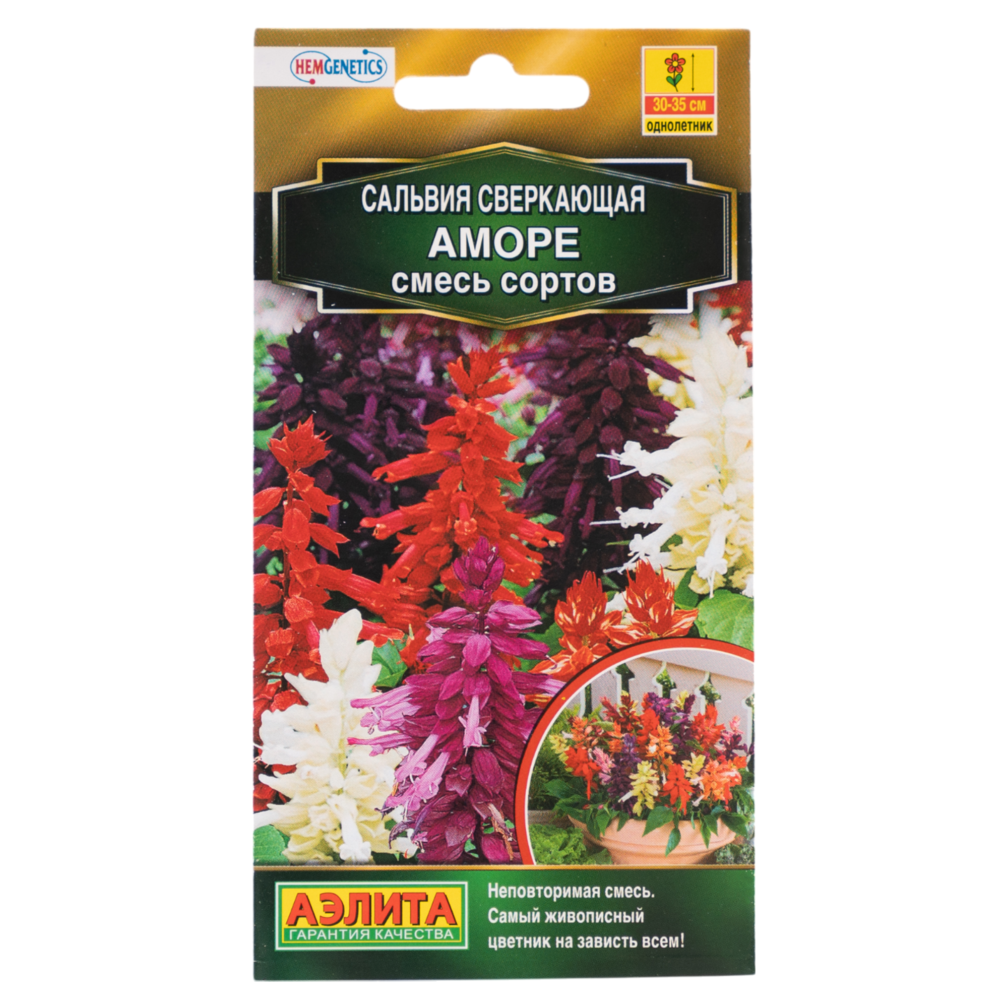 Изображение товара Семена цветов Аэлита сальвия сверкающая Аморе 7 шт.