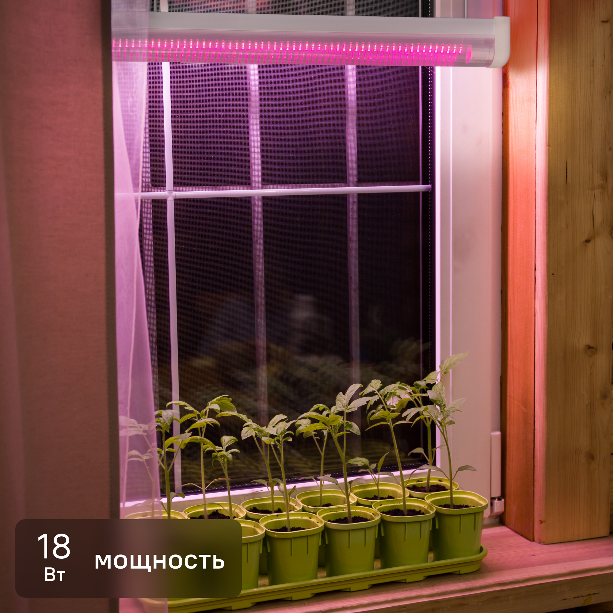 Изображение товара Фитолампа светодиодная линейная для растений TDM Electric Т8 G13 230В 18Вт туба 800лм красно-синий спектр розовый свет