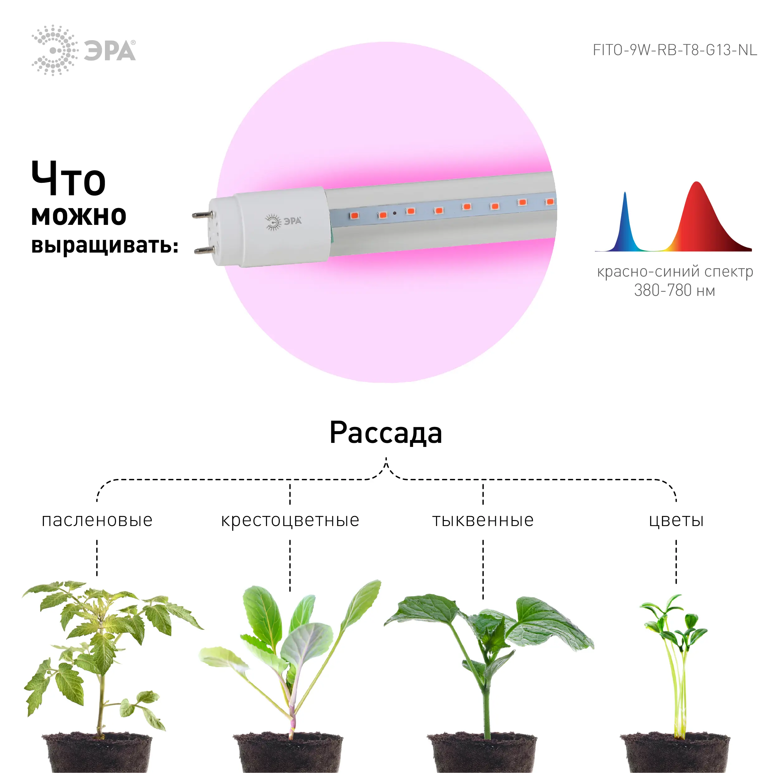 Фитолампа светодиодная линейная для растений Эра Fito G13 9 В 220 Вт 296 Лм красно-синий спектр розовый свет - 8