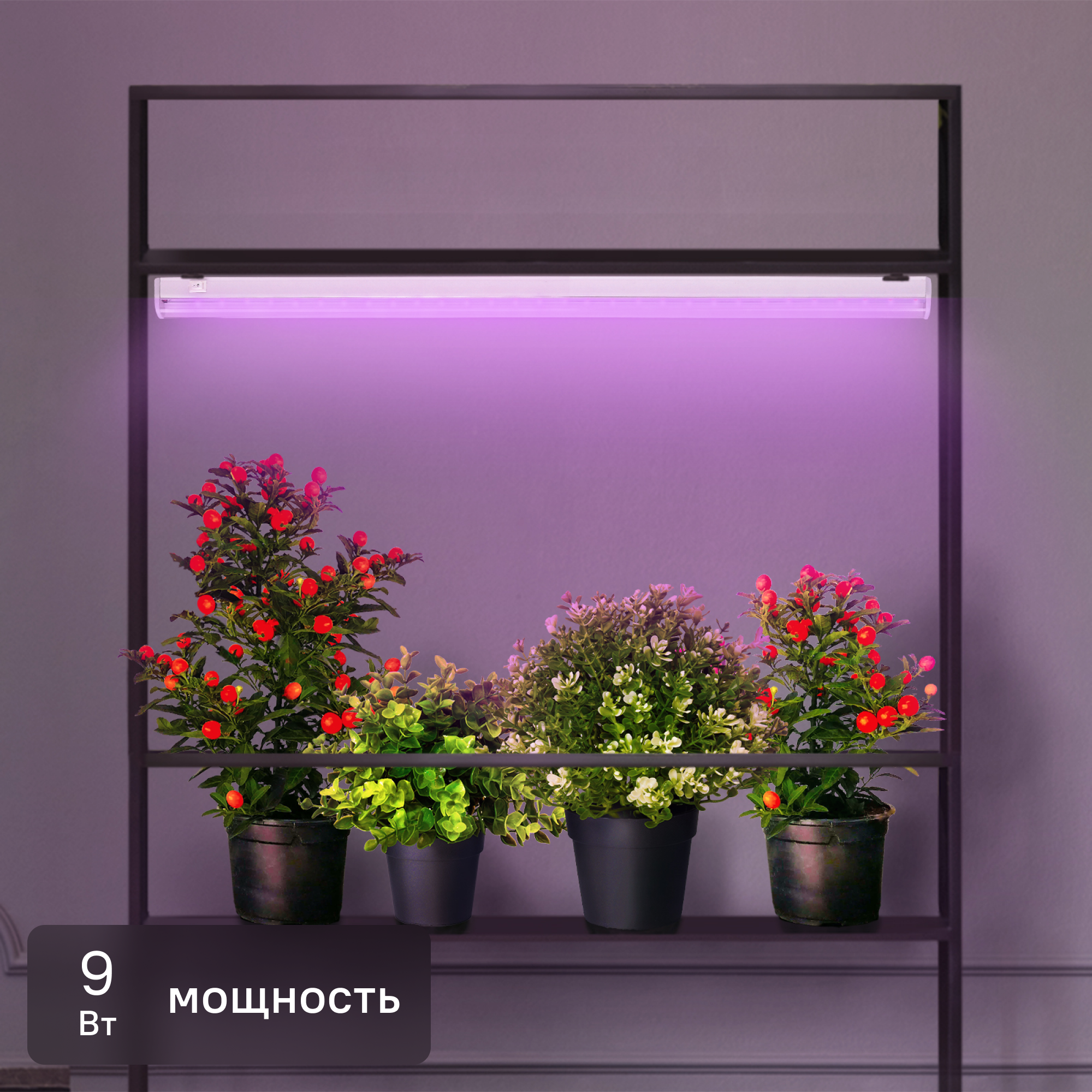 Фитолампа светодиодная линейная для растений Эра Fito G13 9 В 220 Вт 296 Лм красно-синий спектр розовый свет