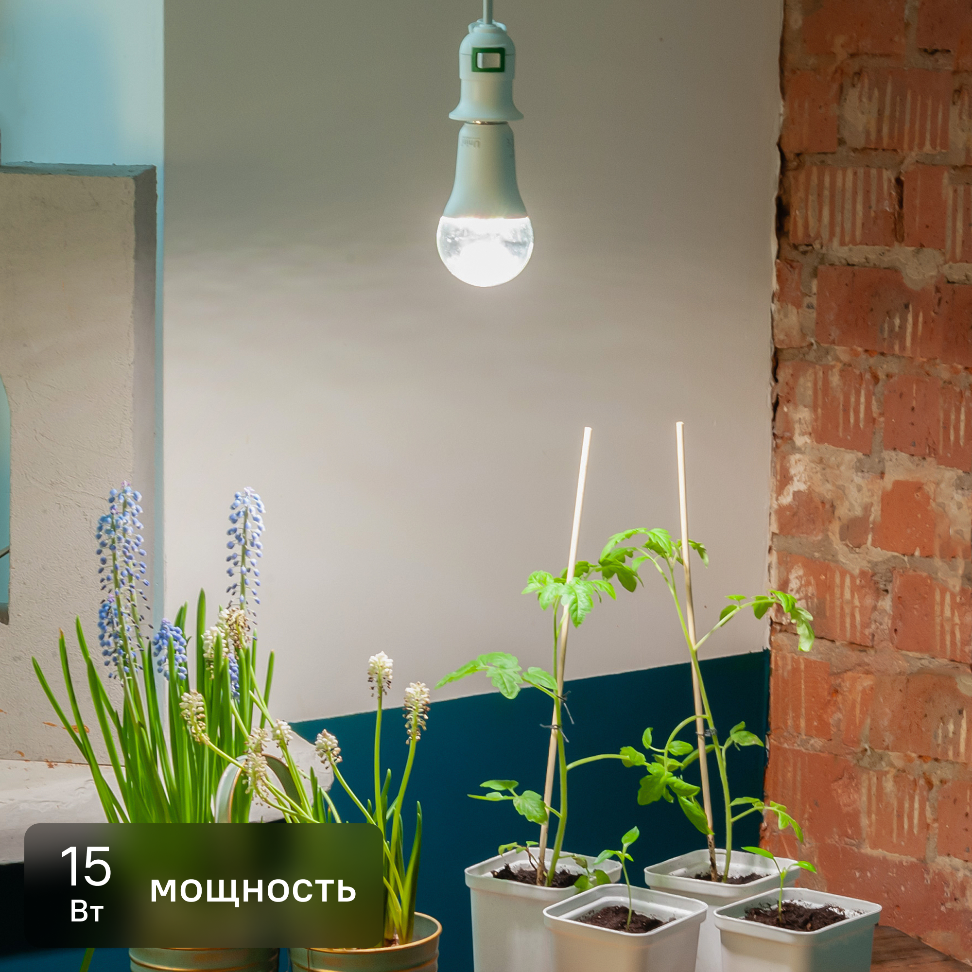 Изображение товара Фитолампа светодиодная для растений Uniel Е27 220 В 15 Вт полноспектральный нейтральный белый свет