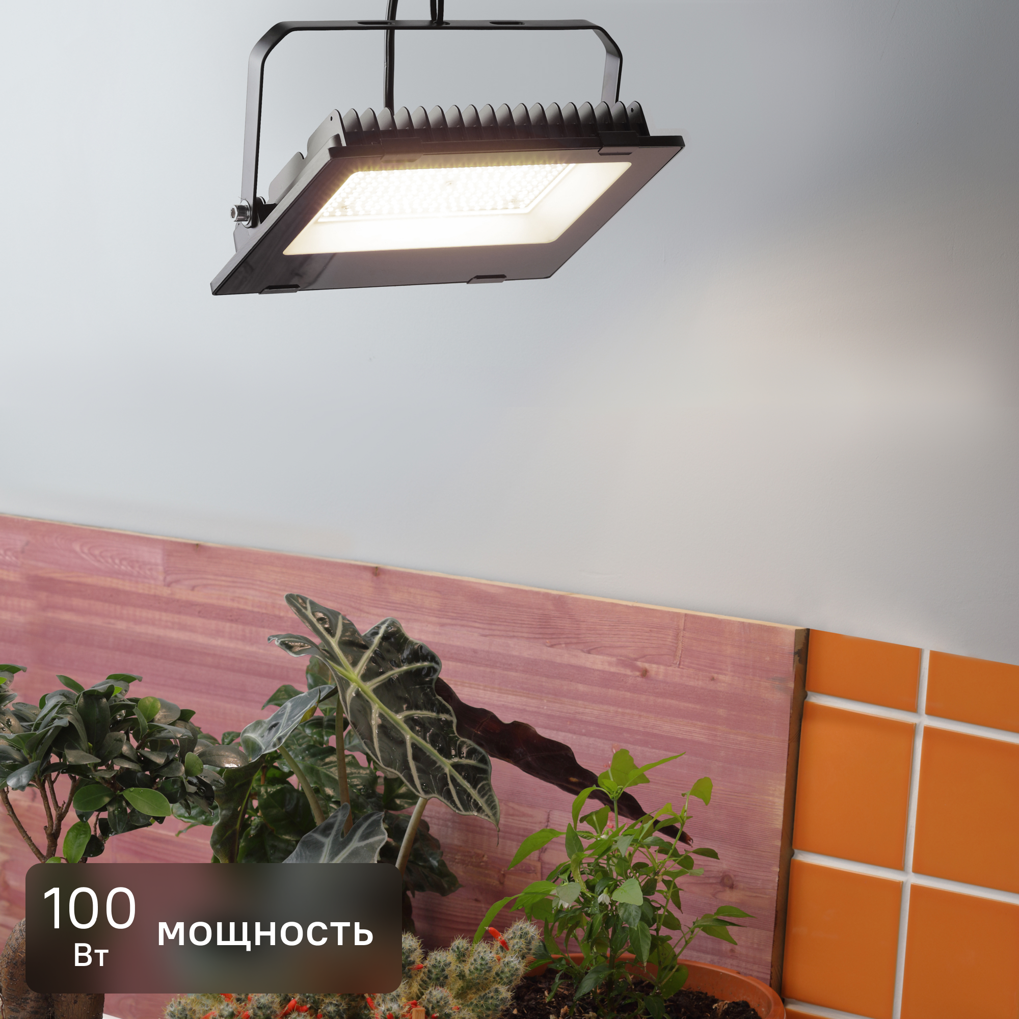Изображение товара Прожектор светодиодный для растений Эра Fito 100 Вт полный спектр нейтральный белый свет