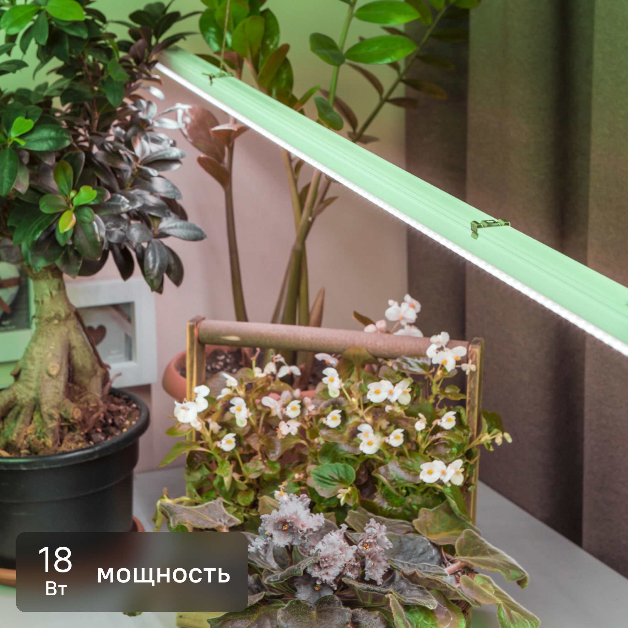 Изображение товара Фитосветильник линейный Эра Fito 1173 мм 18 Вт T5/G5 полный спектр нейтральный белый свет