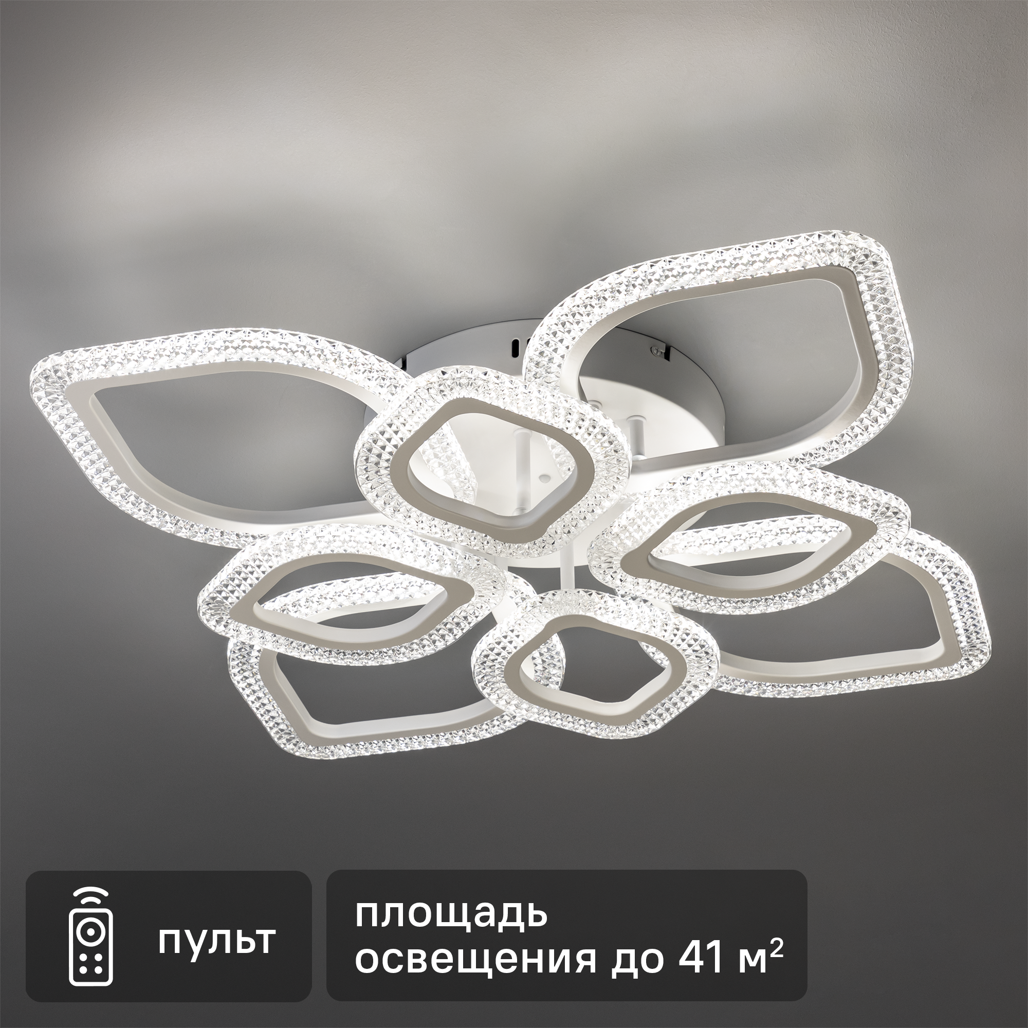 Изображение товара Современный потолочный светодиодный светильник Ritter Teramo с пультом управление