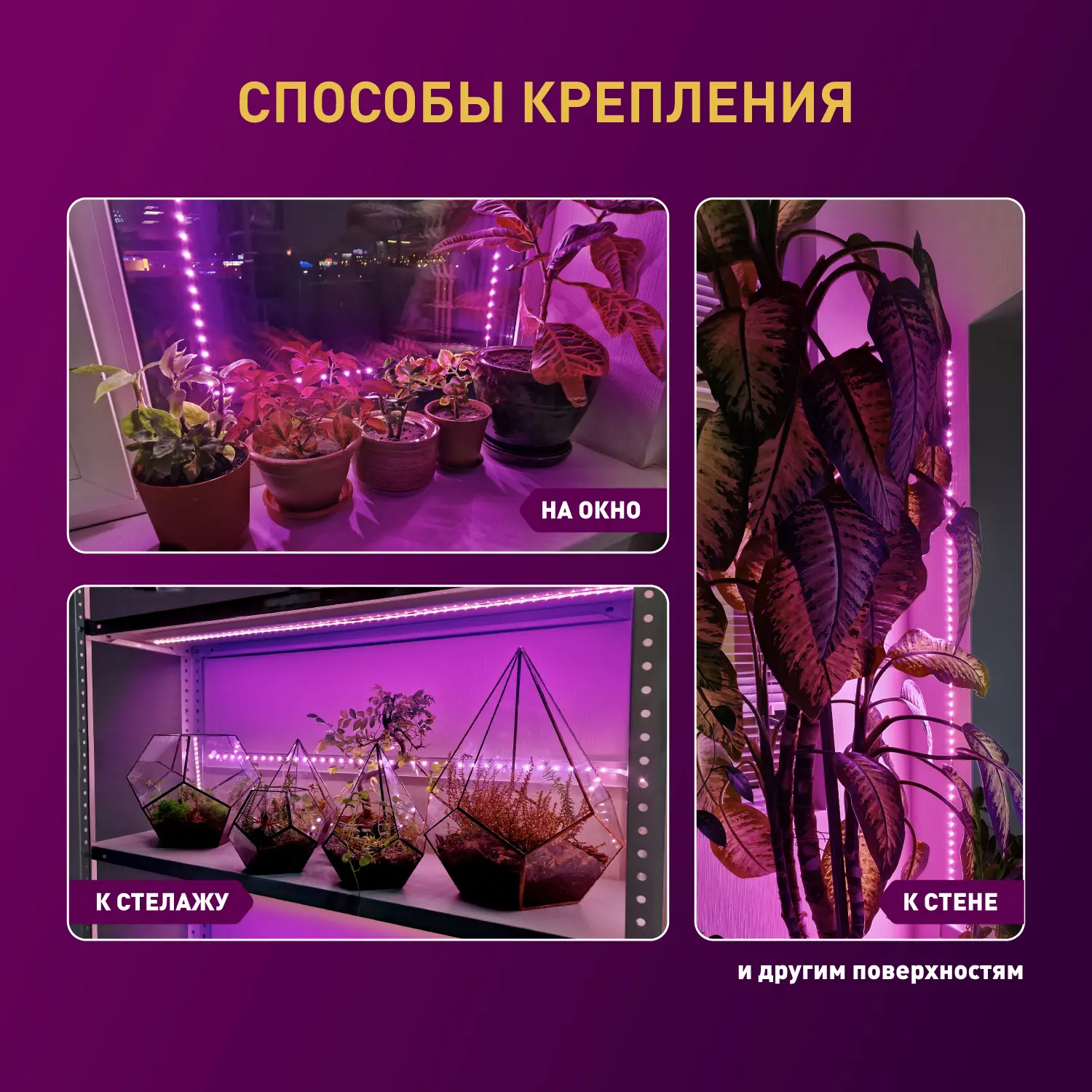 Светодиодная лента для растений Эра fito 2 м 18 Вт 220 В 1800 красно-синего спектра фиолетовый свет влагостойкая - 8