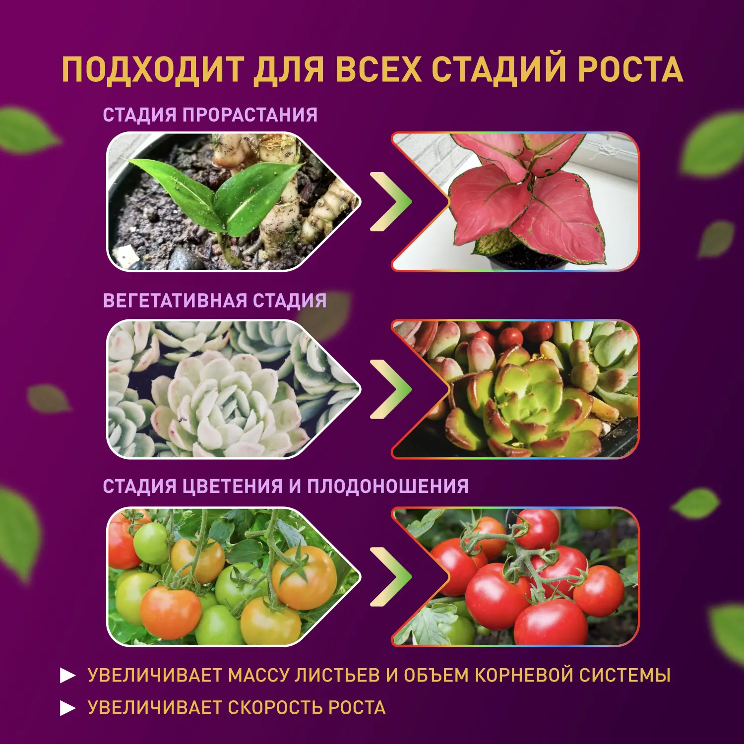 Светодиодная лента для растений Эра fito 2 м 18 Вт 220 В 1800 красно-синего спектра фиолетовый свет влагостойкая - 11
