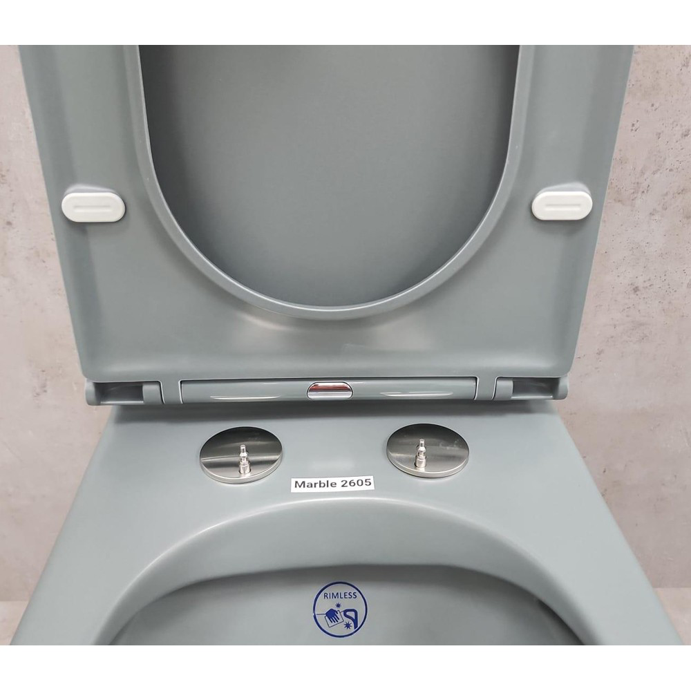 Изображение товара Унитаз-компакт Bloomix Marble 2605GW безободковый с душевым смывом и сиденьем