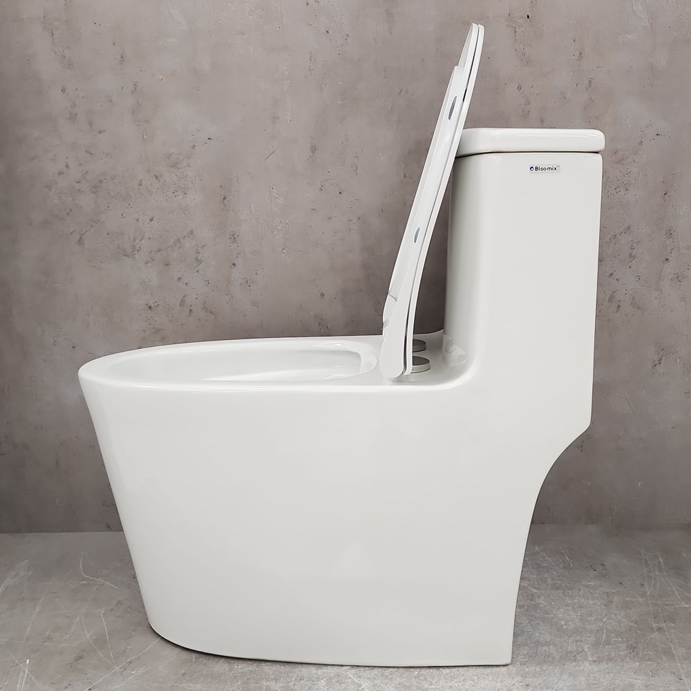 Изображение товара Унитаз-компакт Bloomix Lowe MT3101R/UF1 Ceramic безободковый horizontальный смыв