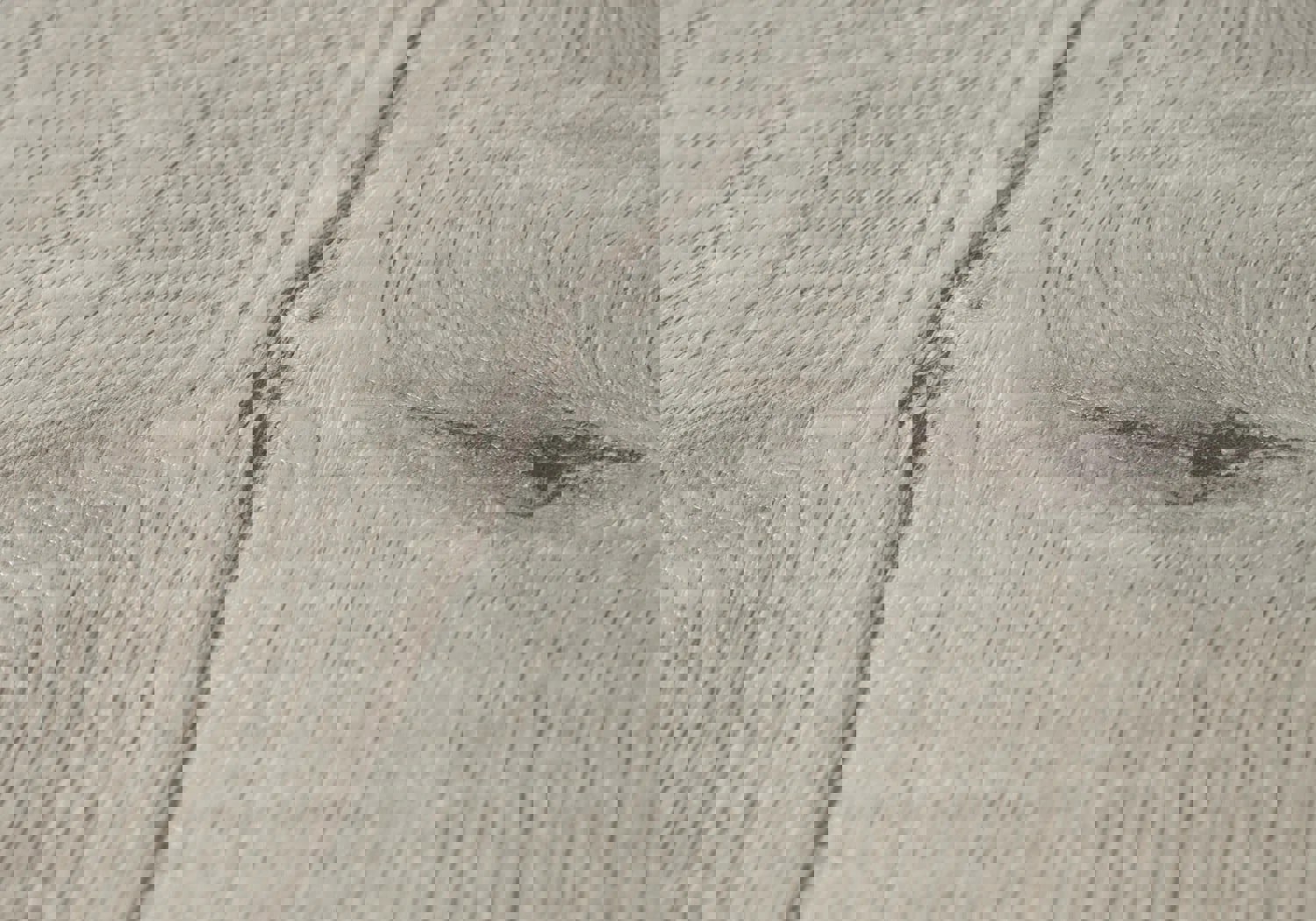 Изображение товара Кварцвиниловая SPC плитка Alpine Floor Real Wood дуб Вердан 6 мм водостойкая