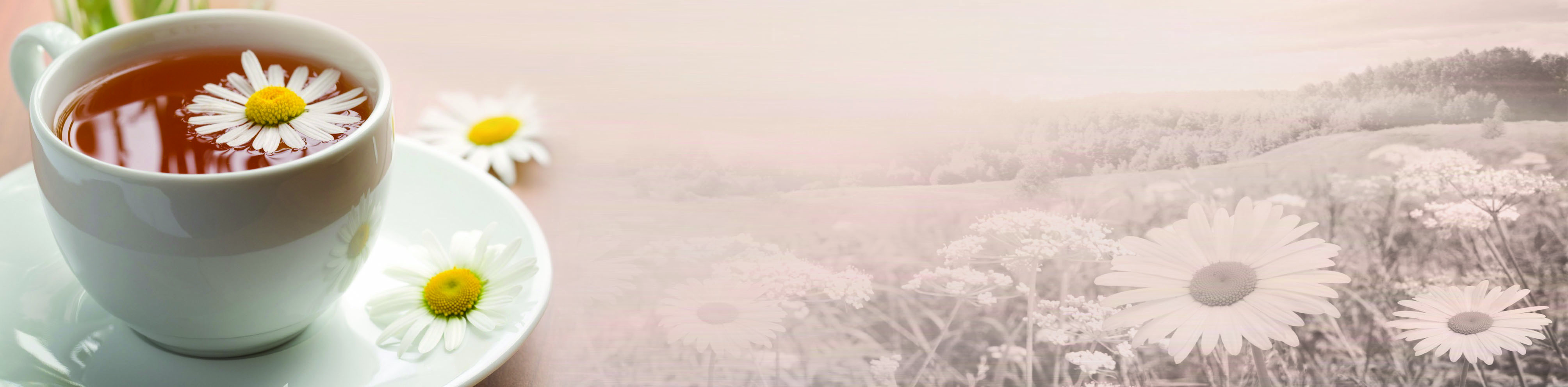 Изображение товара Панель МДФ Ромашковый чай — разноцветная глянцевая внутренняя панель 2440x600x3 мм