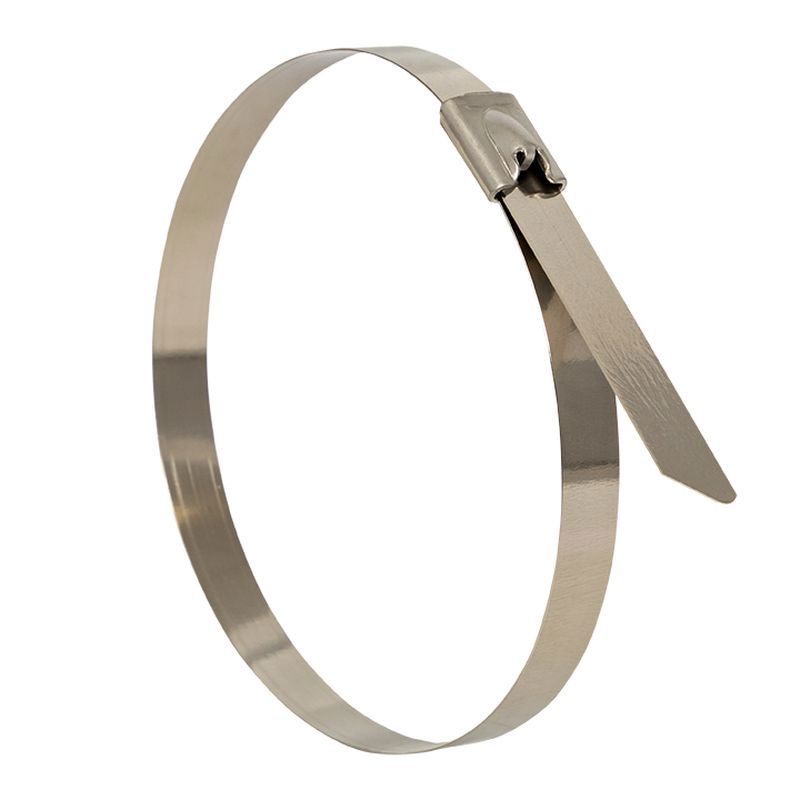 Изображение товара EKF FlexLock PROxima 4.6x150 стальная стяжка из AISI 304 100 шт