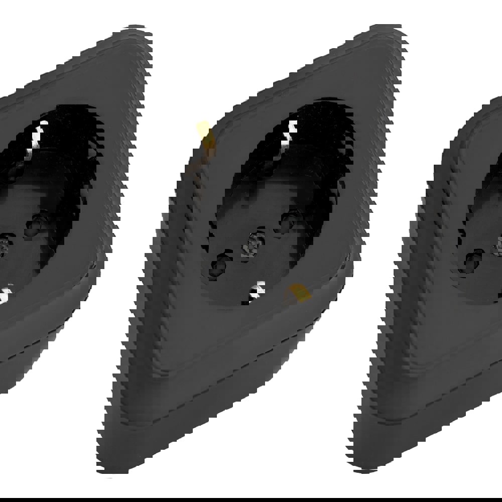 Изображение товара Розетка накладная Bylectrica Пралеска РА16-280 с заземлением цвет черный