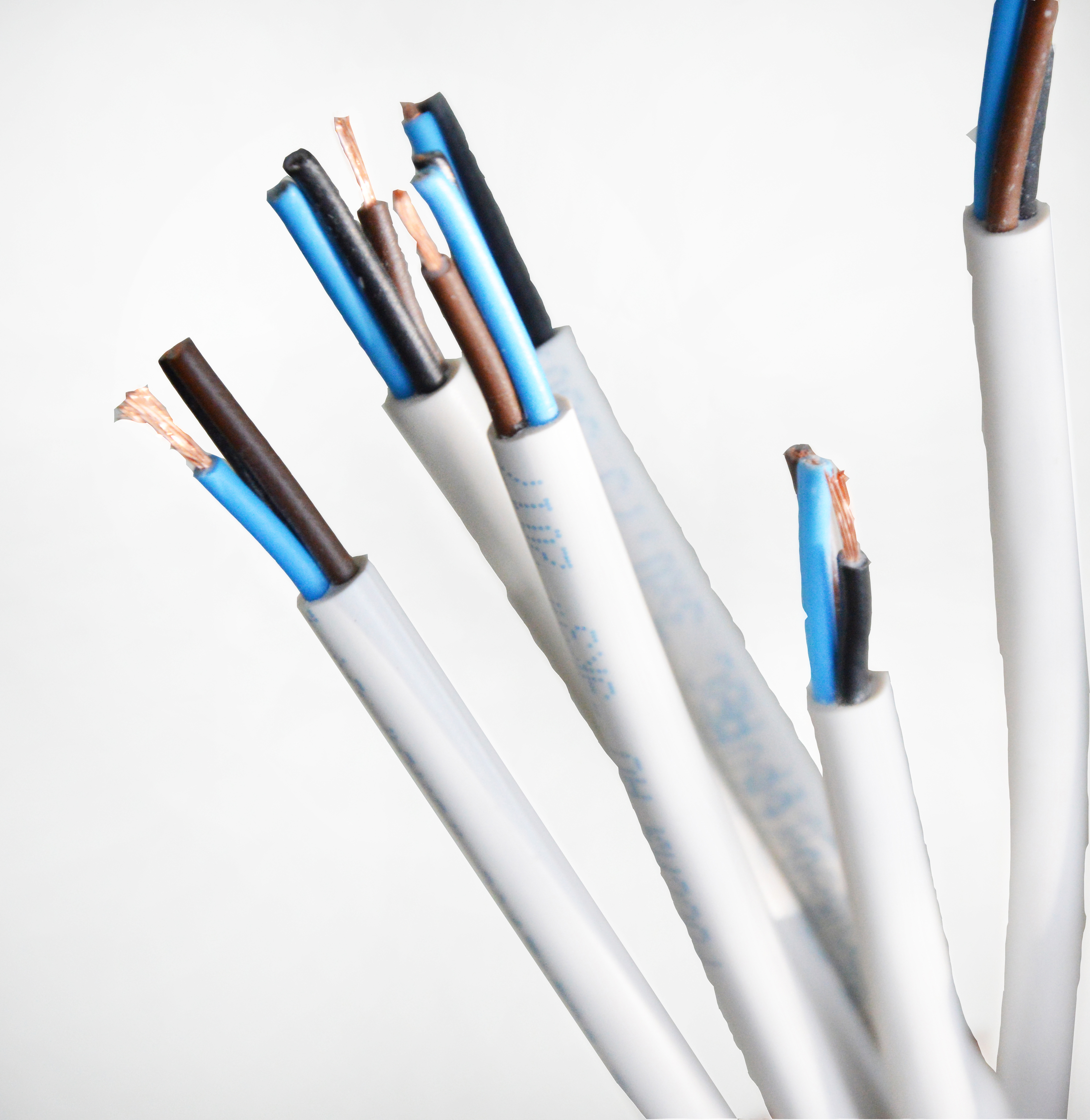 Изображение товара Провод ЭКЗ ПВС 3x0.75+1x0.75 25 м ГОСТ