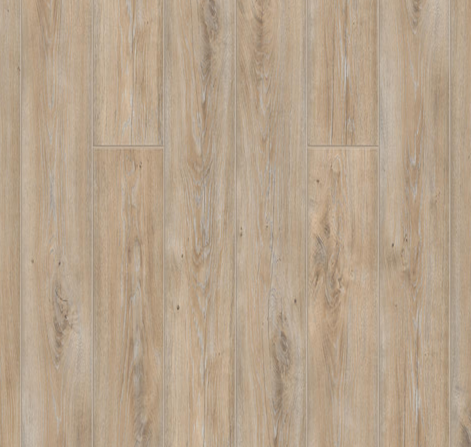 Изображение товара Ламинат Tarkett Navigator Баренц 33 класс толщина 12 мм с фаской Кремовый