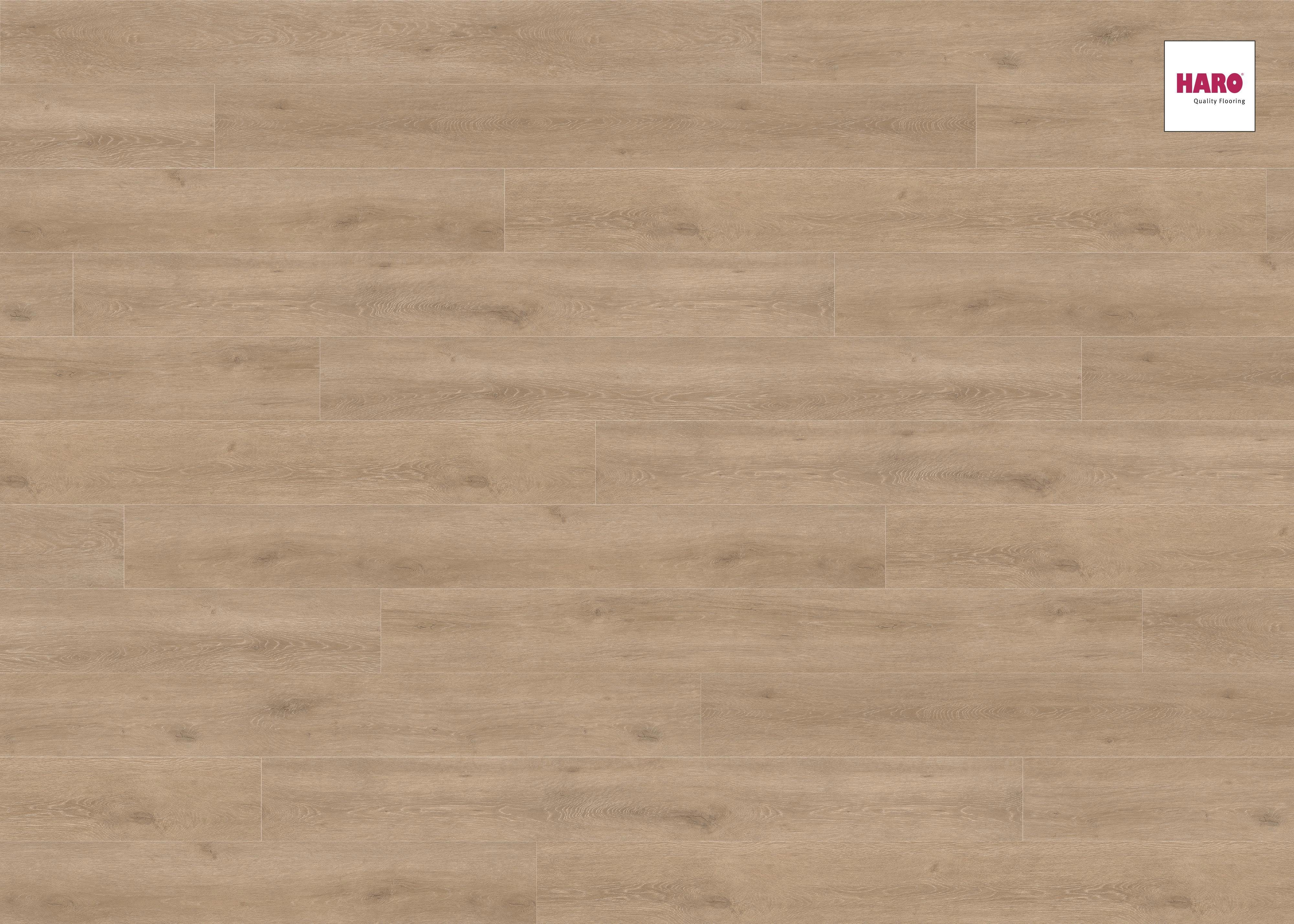 Изображение товара Ламинат Haro Дуб Венето Кремовый 32 класс 8 мм фаска Германия