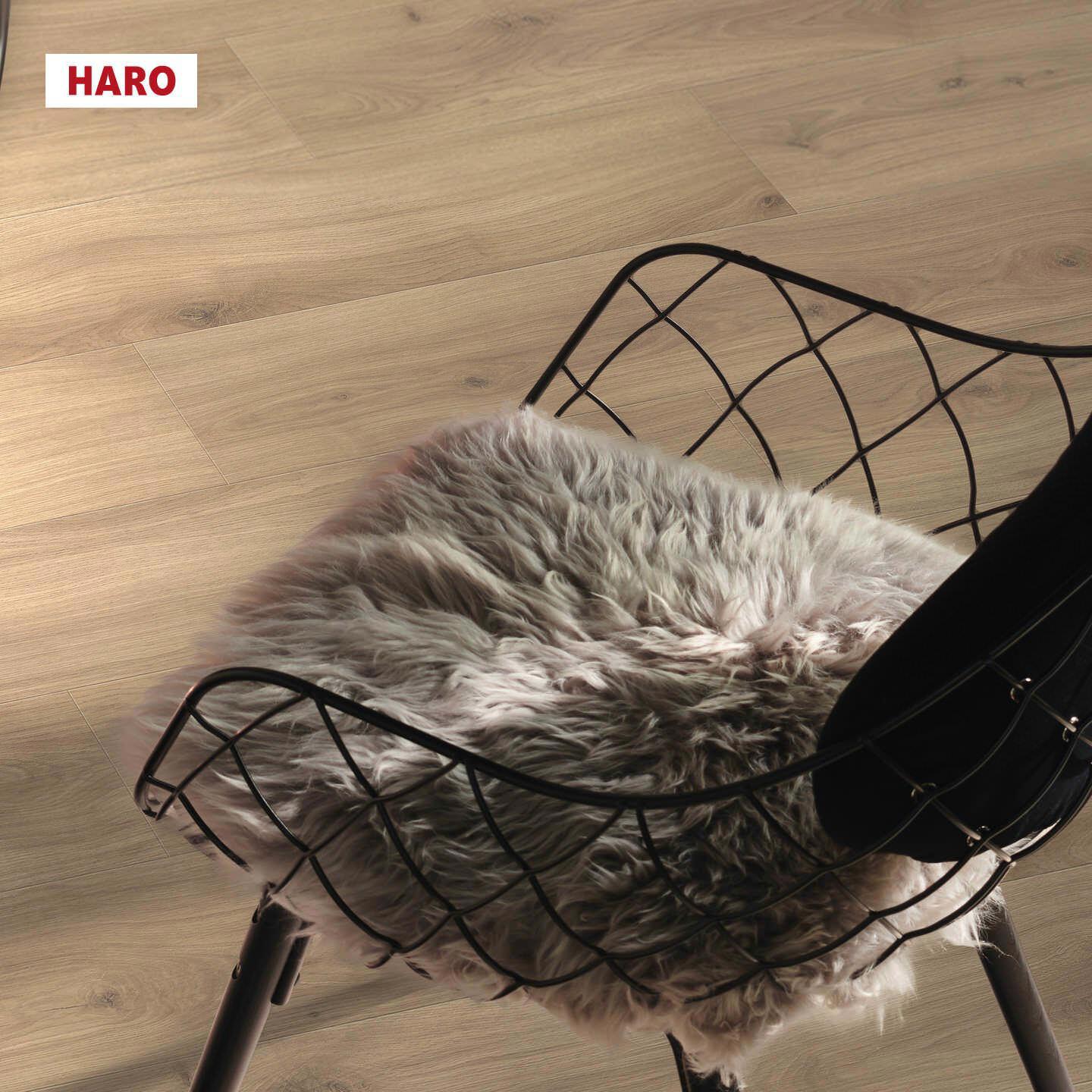 Изображение товара Ламинат Haro Дуб Эмилия Пуро 33 класс толщина 8 мм с фаской 1.98 м²