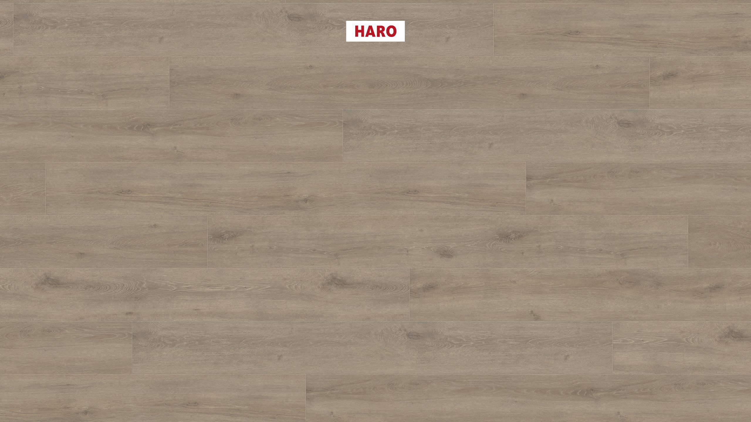 Изображение товара Ламинат Haro Дуб Венето Мокка 33 класс 8мм с фаской 2.68 м² Германия