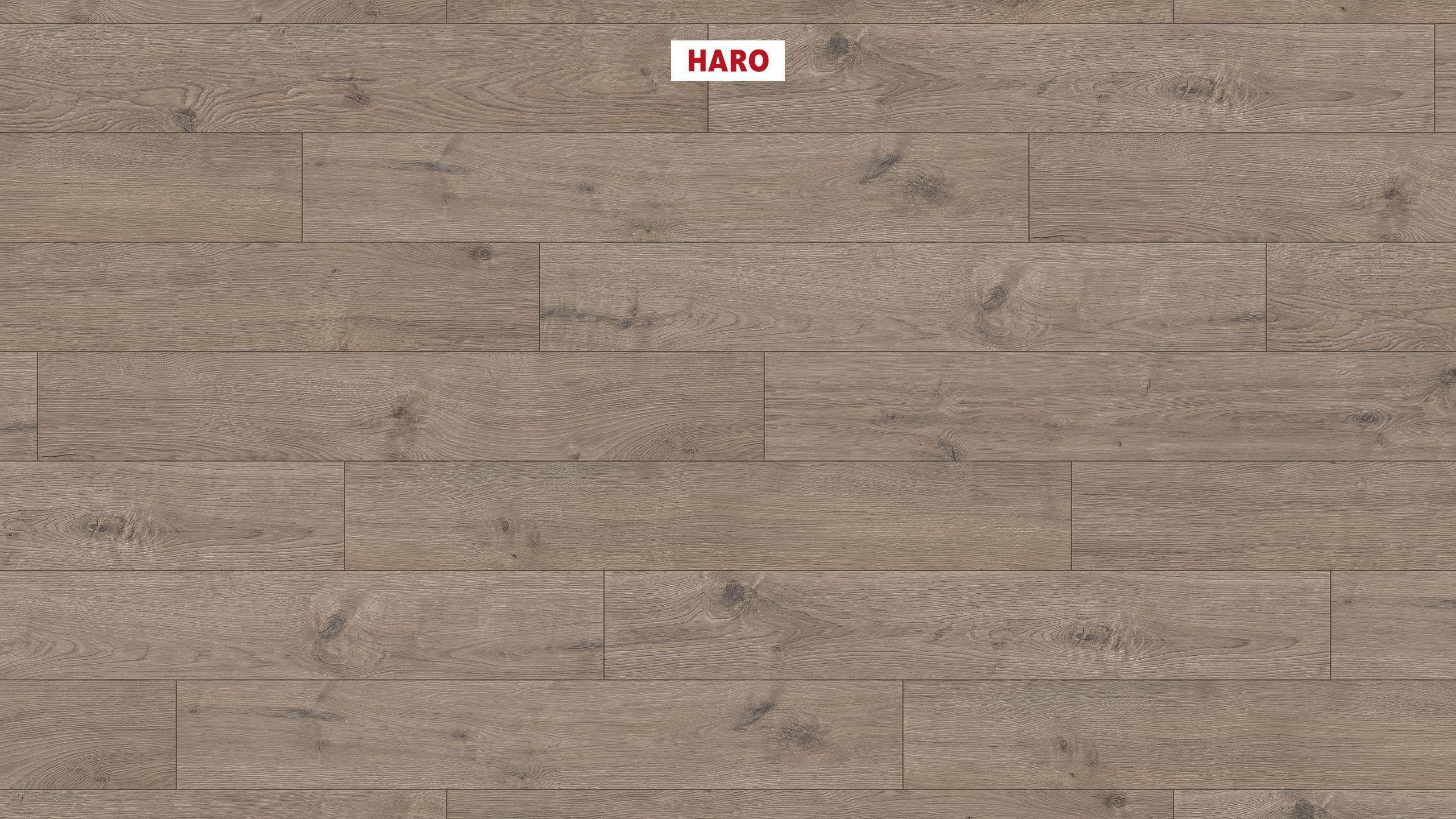 Изображение товара Ламинат Haro Дуб Портлэнд серый 32 класс 8 мм с фаской 1.98 м²