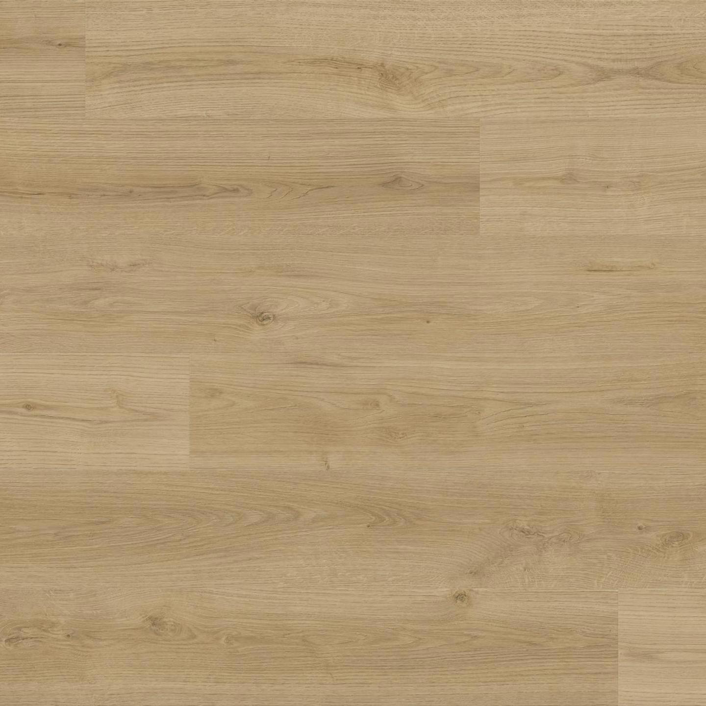 Изображение товара Ламинат Kaindl Oak Evoke Natural Бежевый 32 класс толщина 8 мм с фаской 2.20 м²