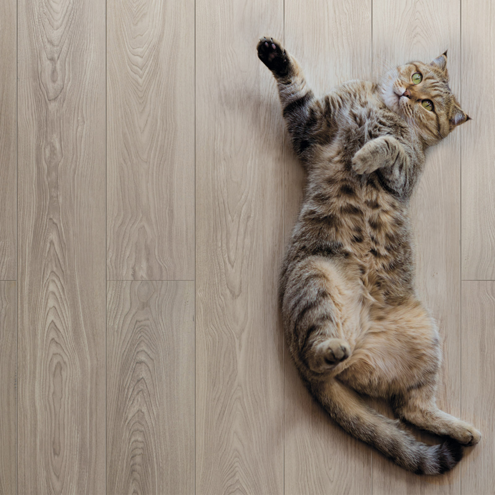 Изображение товара Ламинат Peli Alberra Саме 32 класс 8 мм с фаской 1.96 м² Турция