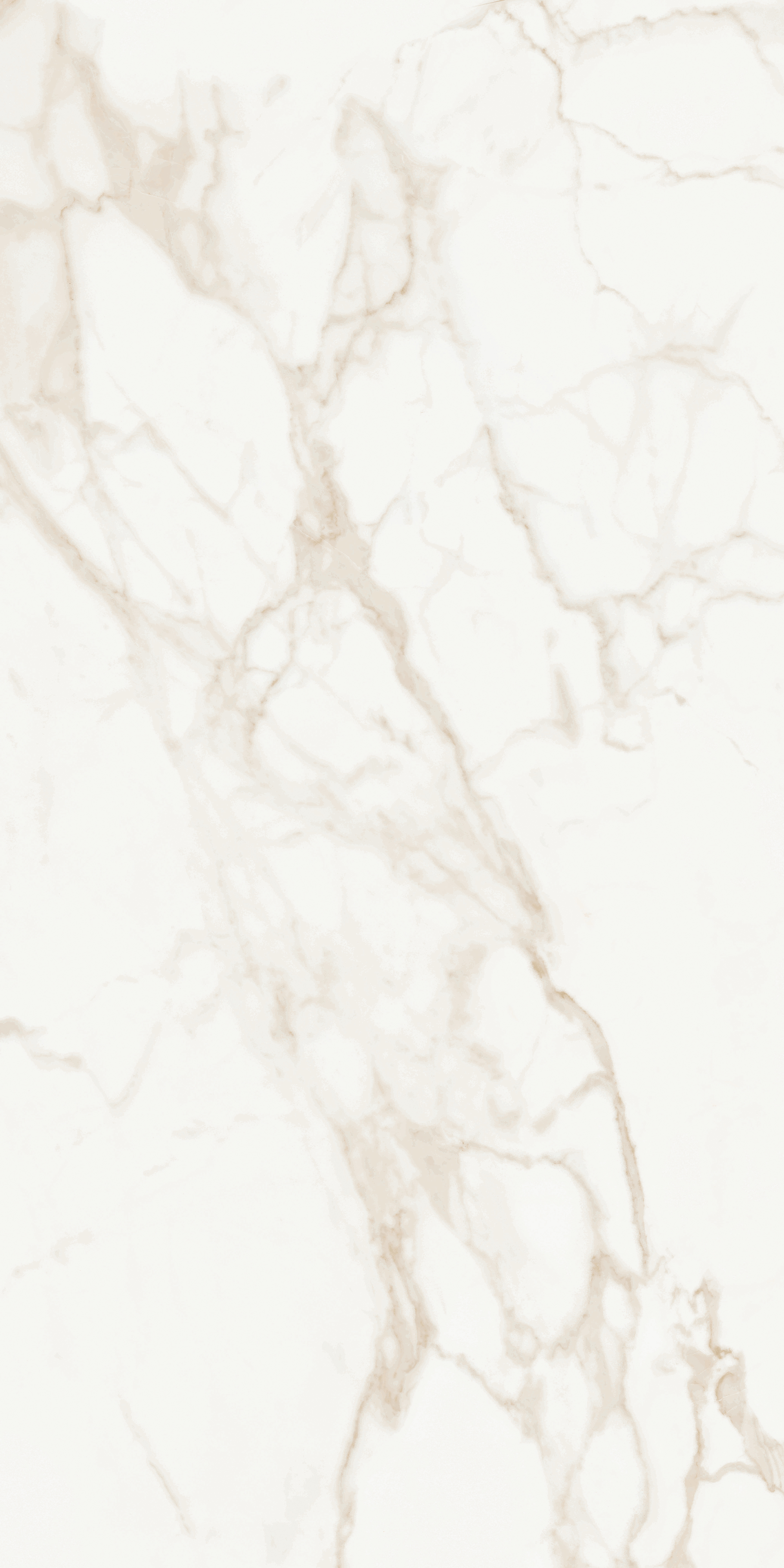 Изображение товара Керамогранит CEROCUARENTA Marmo Calacatta Matt 60x120 - белый мраморный эффект 1. 44 м2